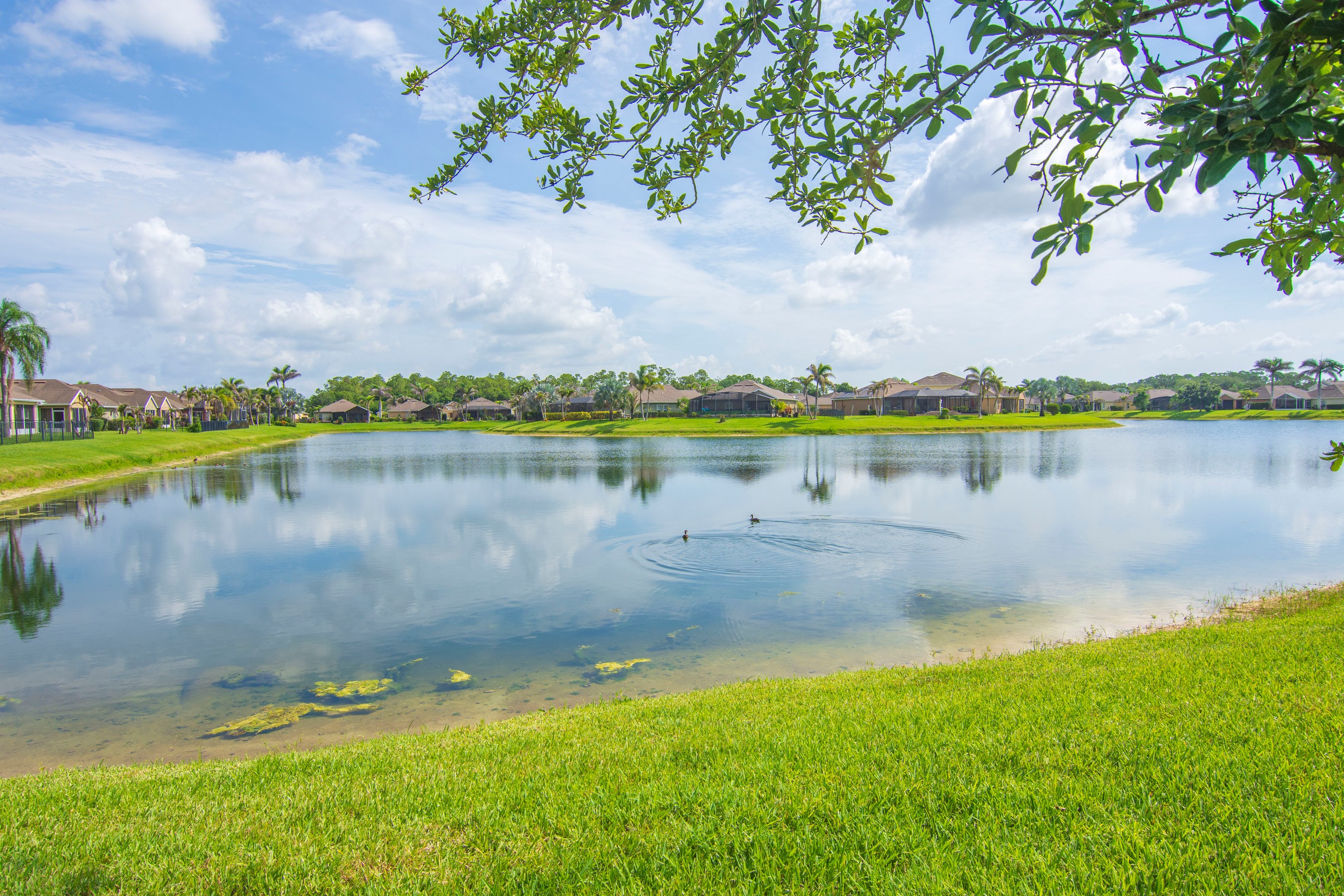  8058 Westfield Circle, Vero Beach, FL 32966 - 物件實景