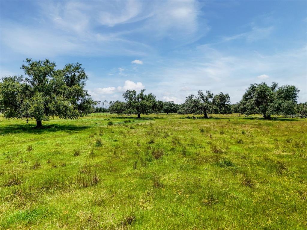 Myakka City, Florida, 34251, United States, ,Land,For Sale,1908306