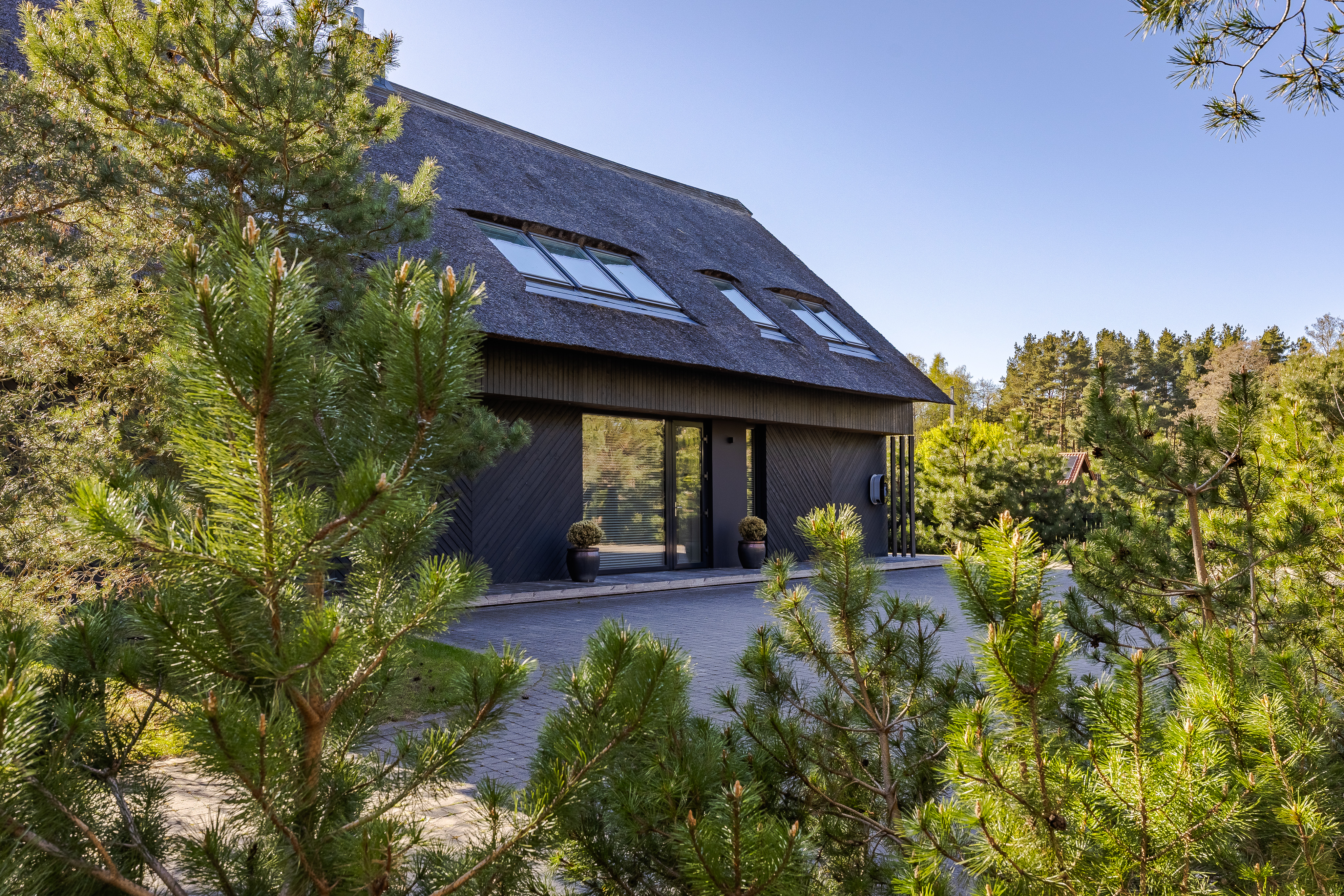  A house by the Baltic Sea surrounded by pines - 物件實景