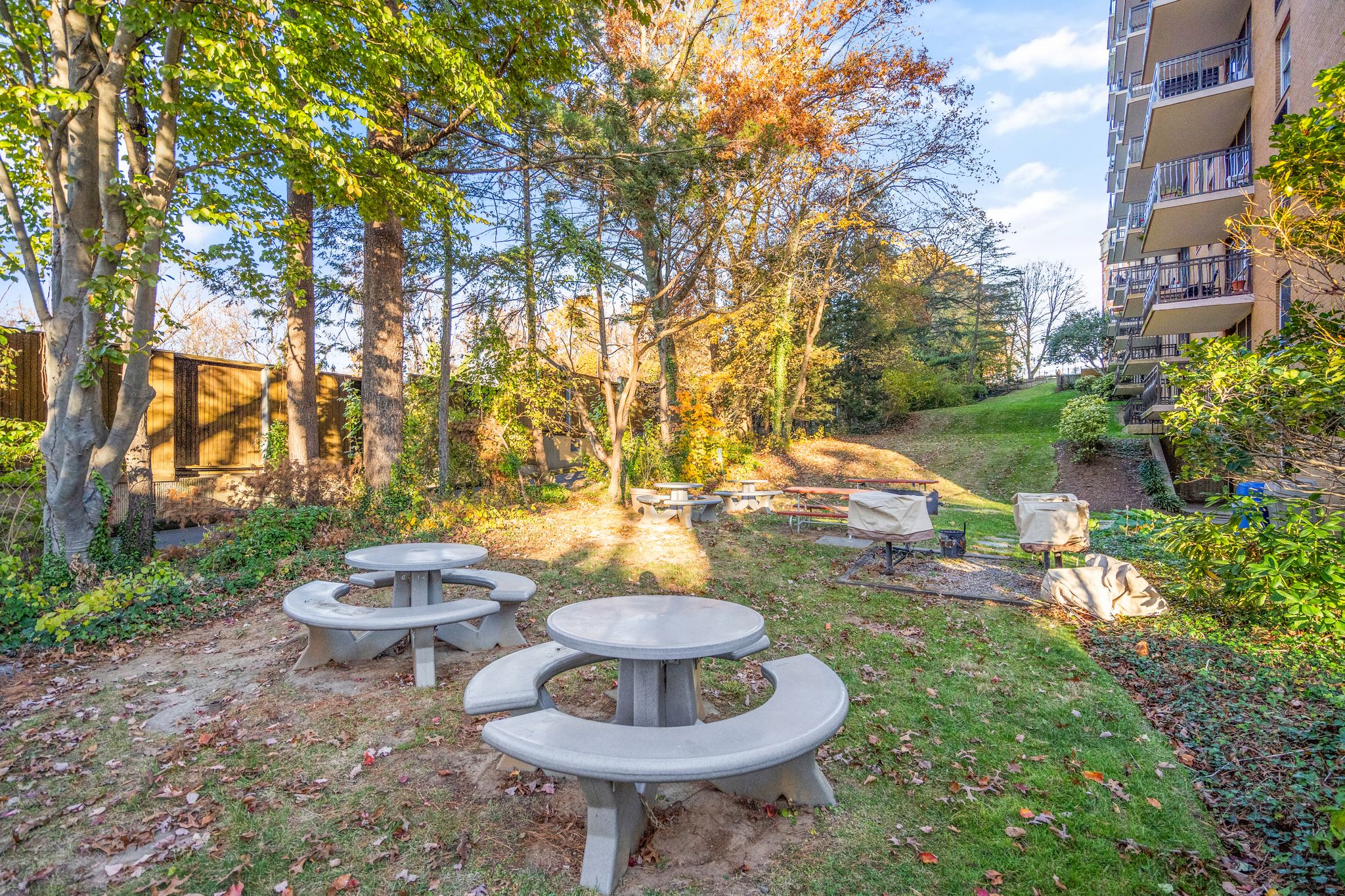  2030 N Adams Street, Arlington, VA, 22201 - 物件實景