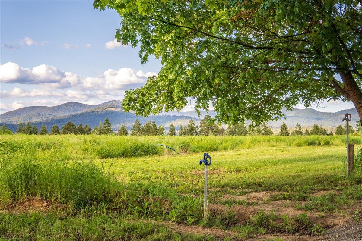 Mead, Washington, 99021, United States, ,Land,For Sale,1977316