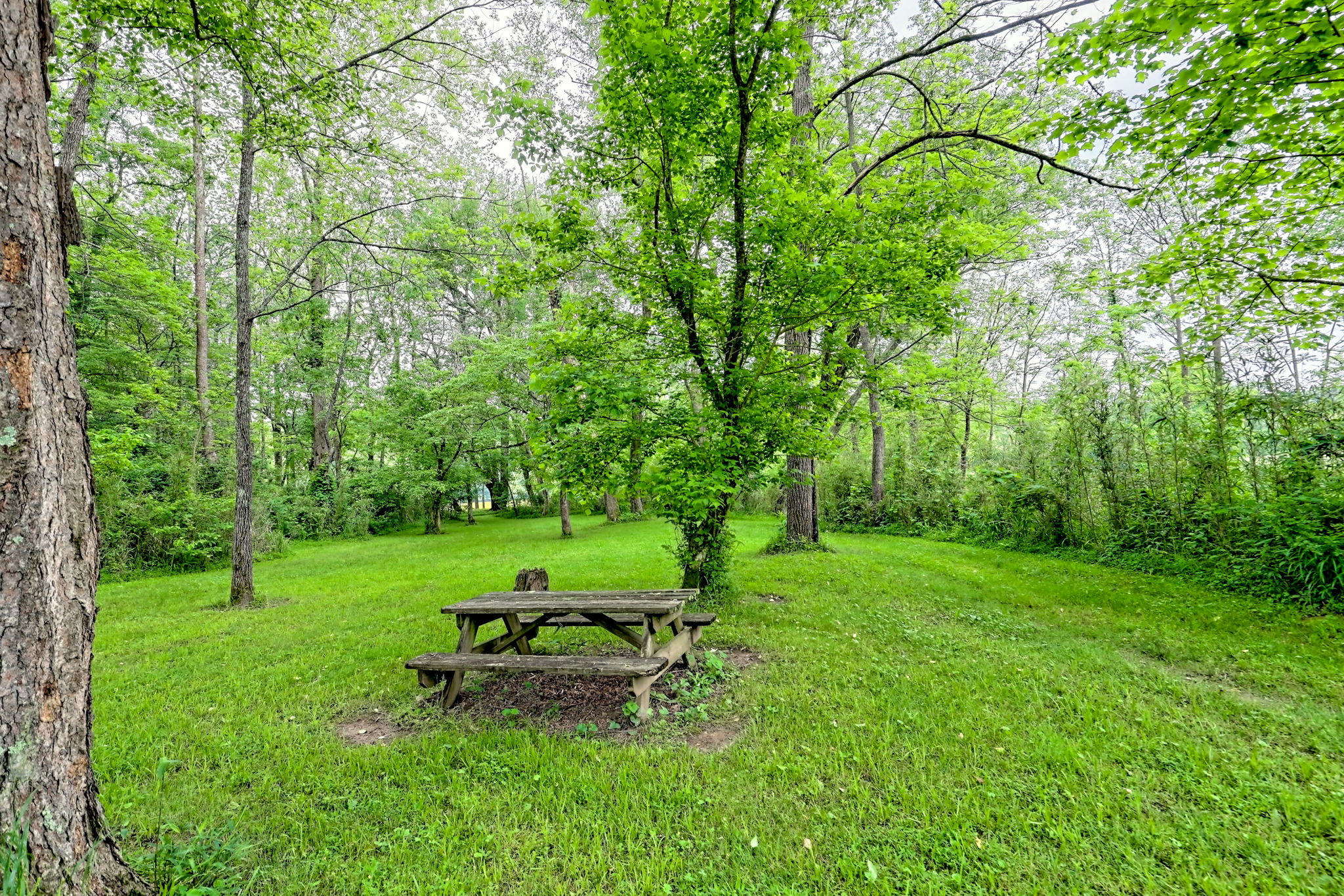 Warne, North Carolina, 28909, United States, 3 Bedrooms Bedrooms, ,3 BathroomsBathrooms,Residential,For Sale,1826737