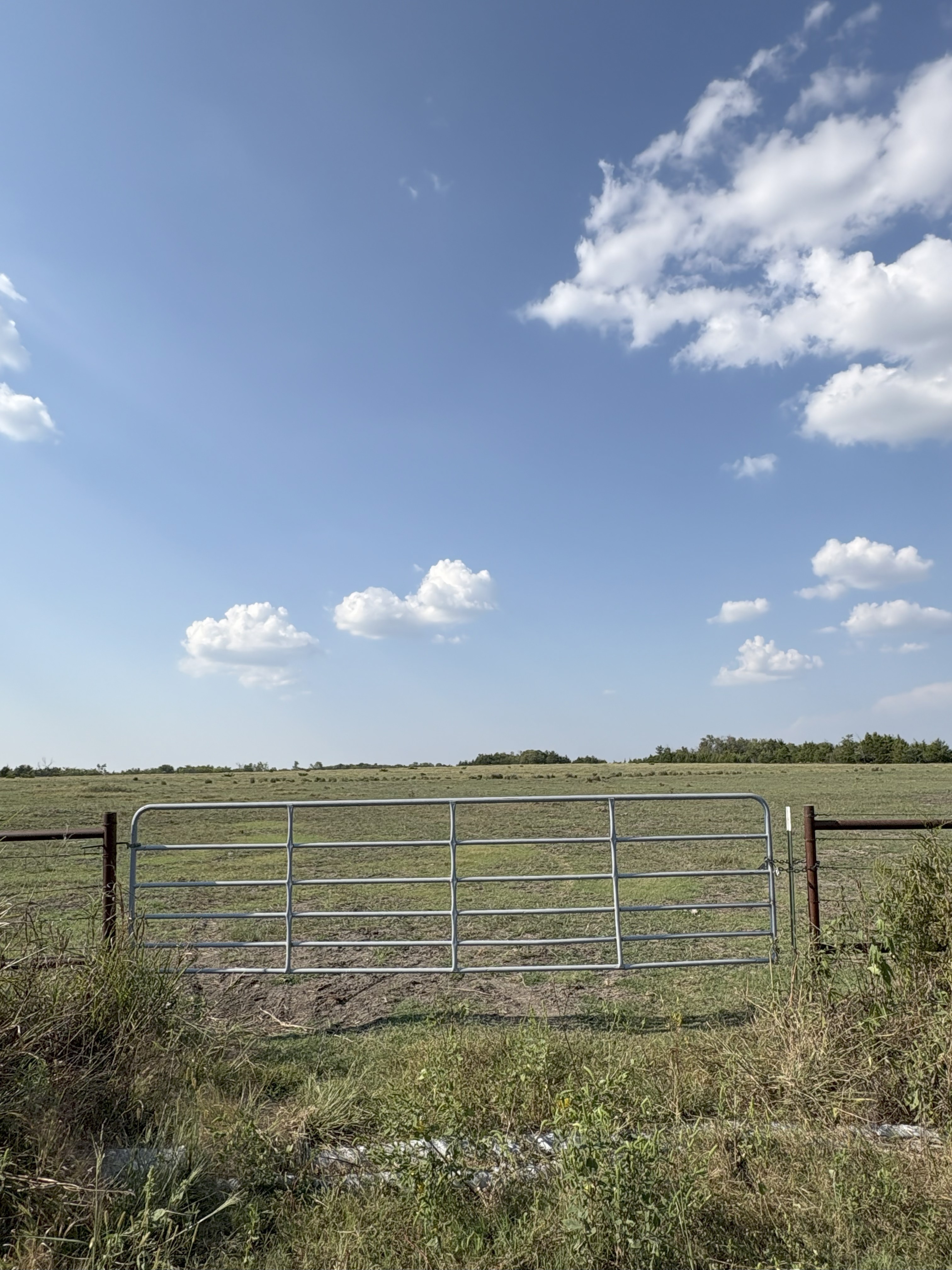 Roxton, Texas, 75477, United States, ,Land,For Sale,1979032