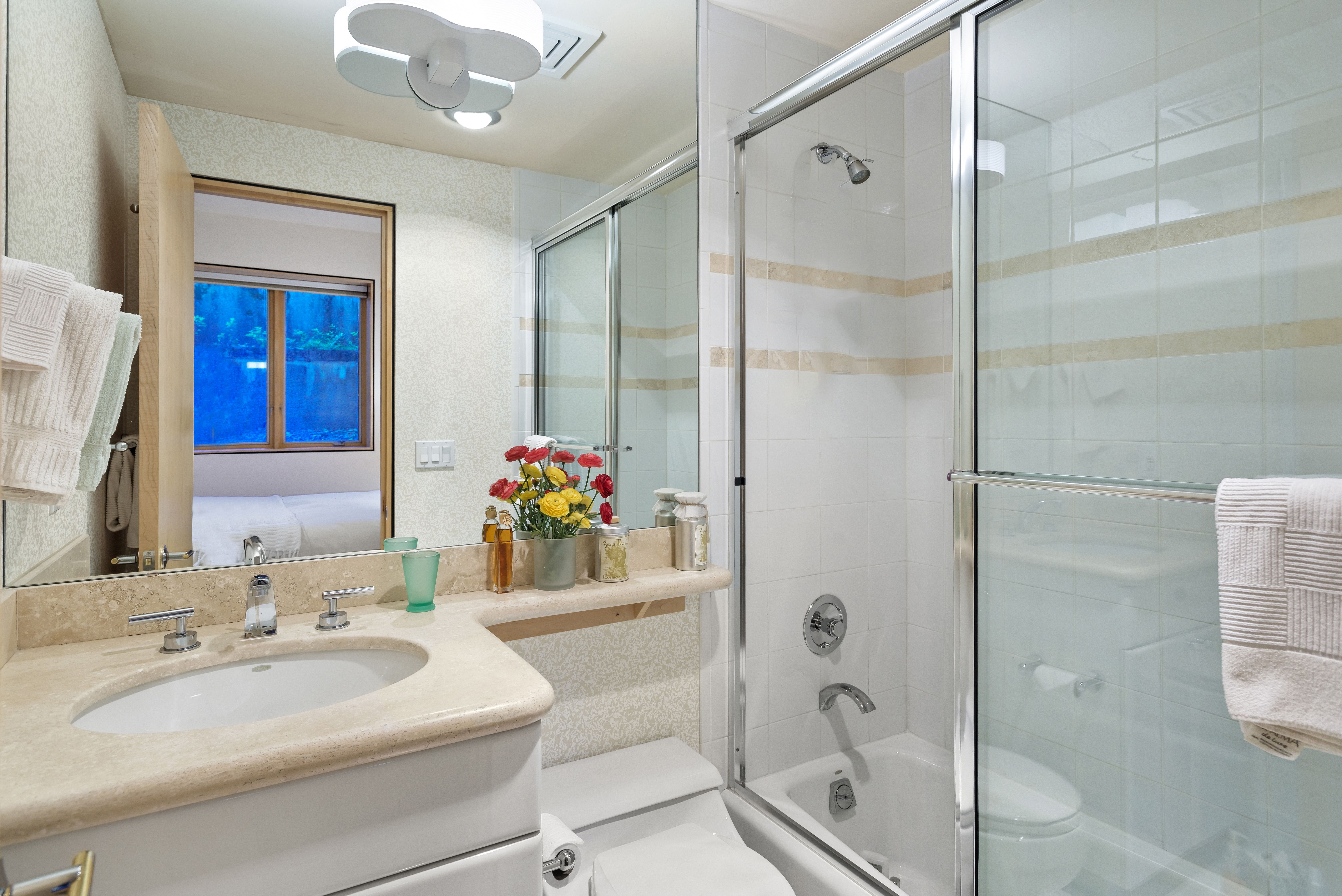  530 West Francis Street, Aspen, CO 81611 - 物件實景