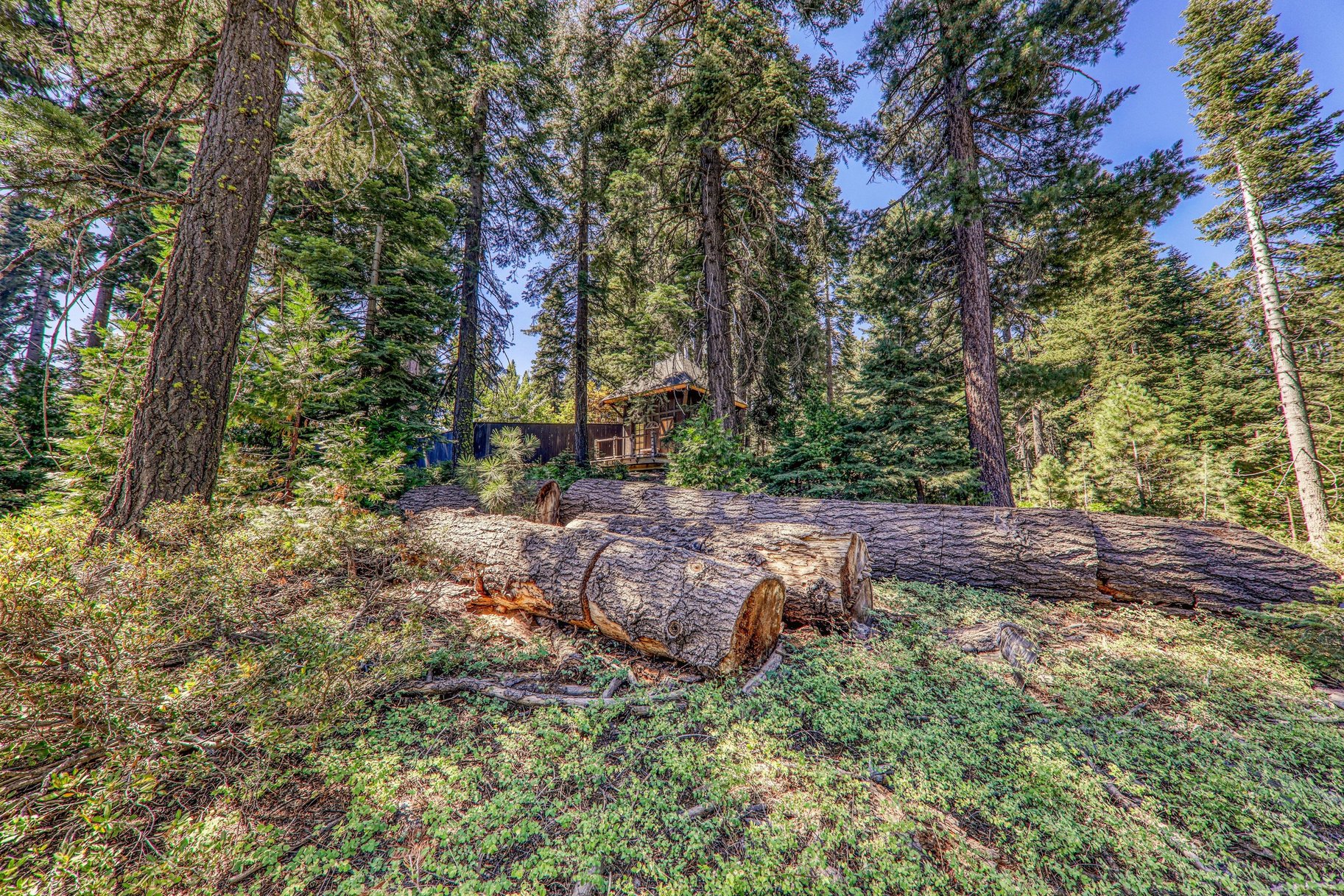  Buildable Lot Between Sunnyside and Tahoe City, Excellent Location - 物件實景