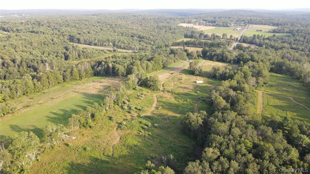 Monticello, New York, 12701, United States, ,Land,For Sale,1979428