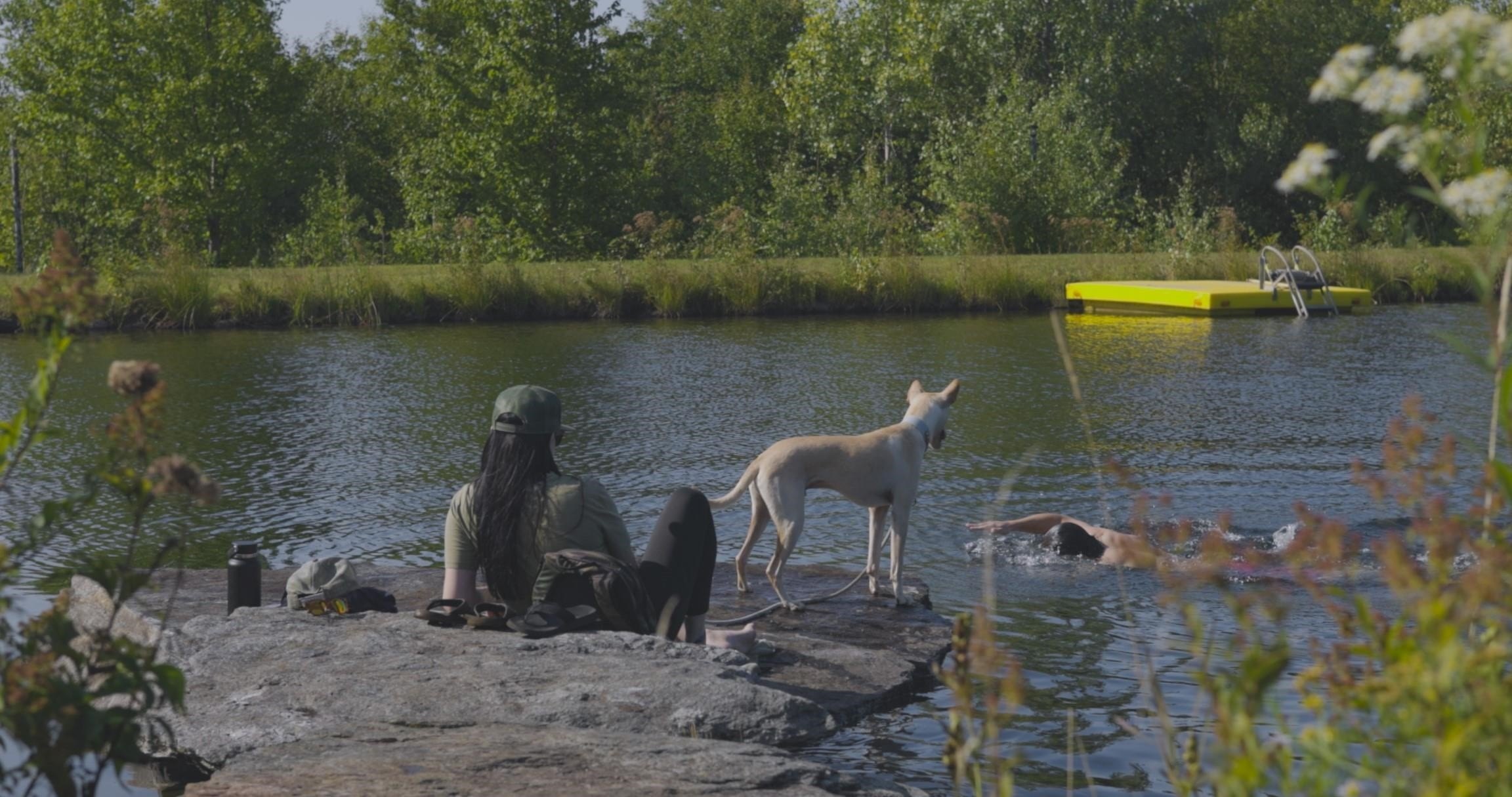 Jay, Vermont, 05859, United States, ,Land,For Sale,1999221