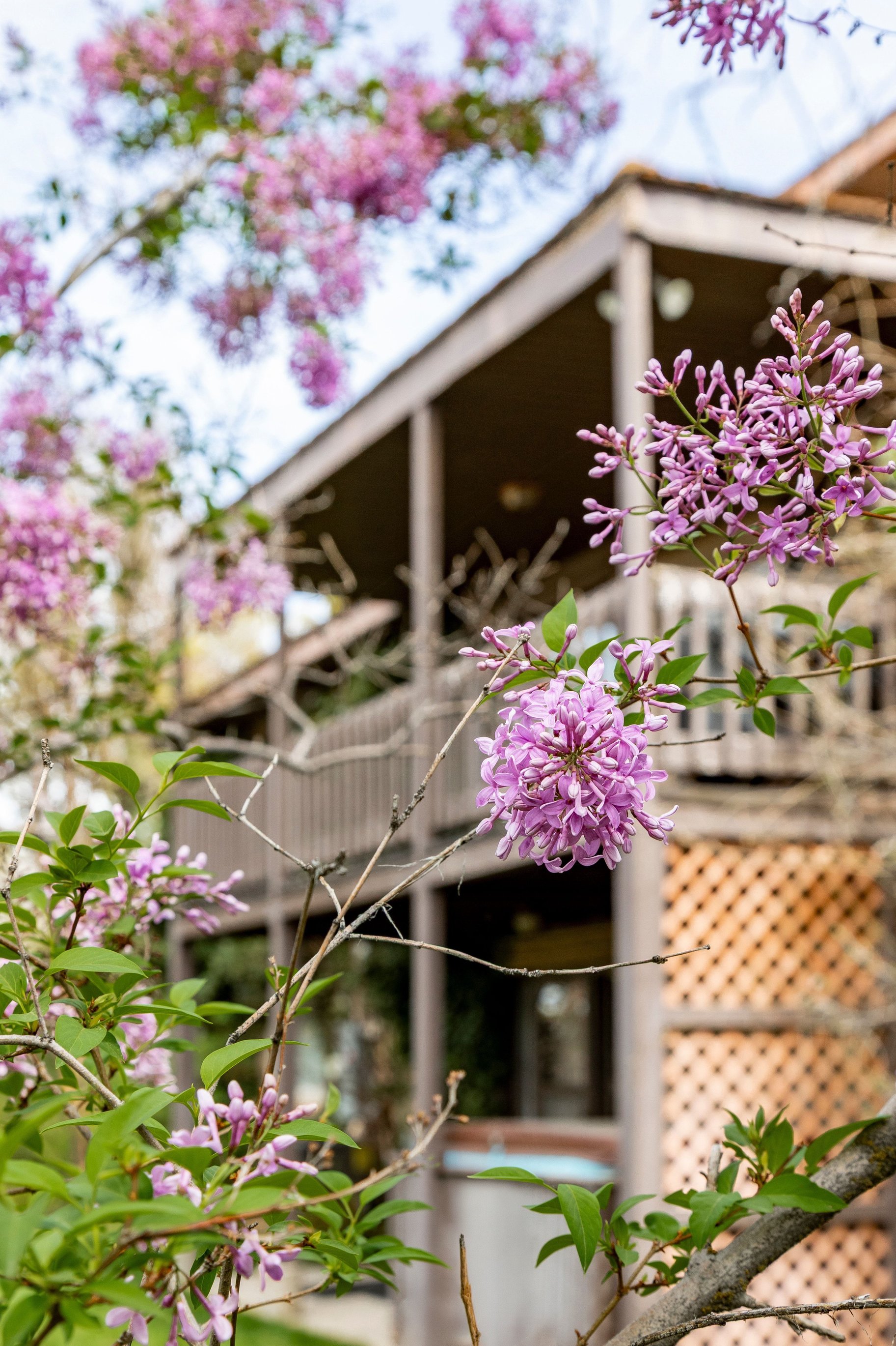  Solid Olympus Cove 2 Story With Mountain and Valley Views - 物件實景
