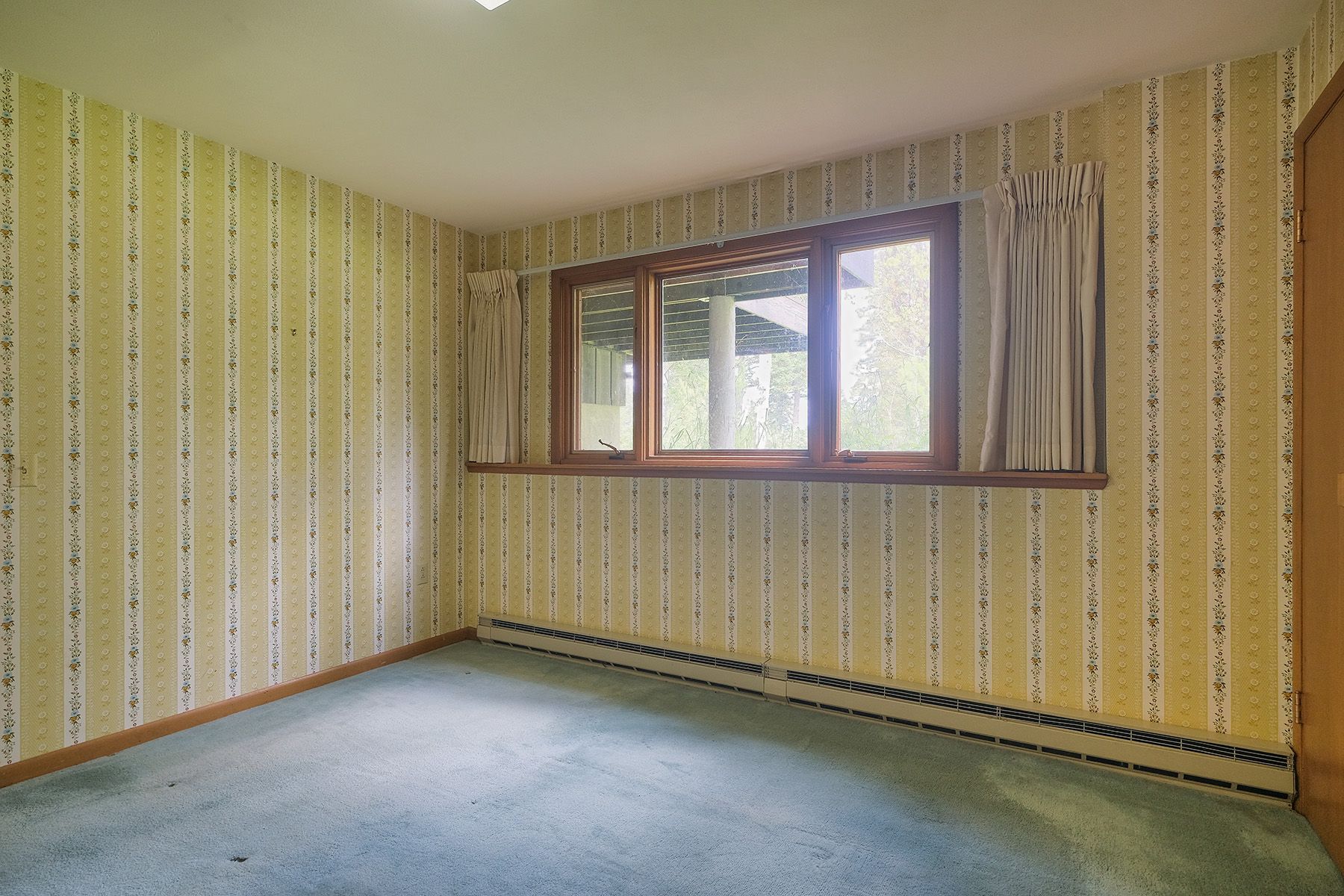  Heck-of-a-Hill Hidden Gem - 物件實景