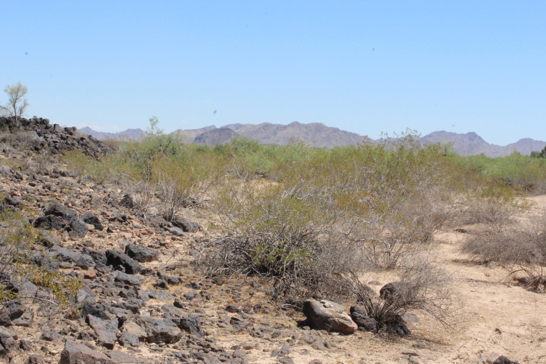  11 S 337th Avenue, Arlington, AZ, 85322 - 物件實景
