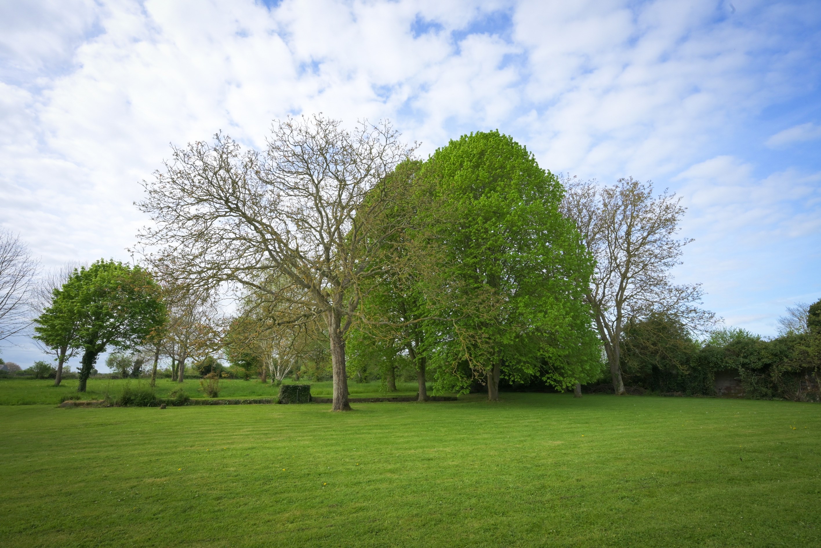  Maison - 物件實景