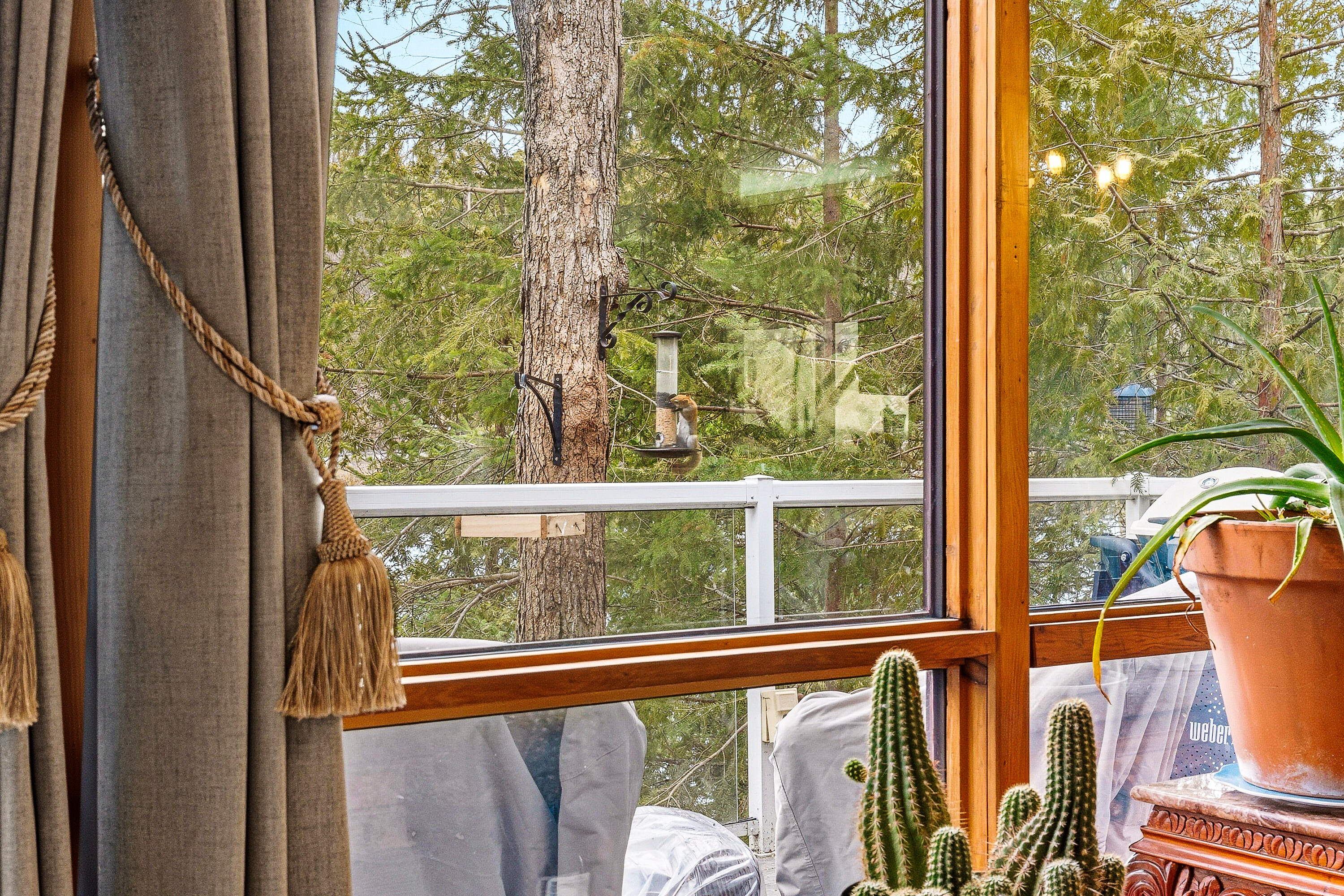  Oh, What a Lake - 物件實景