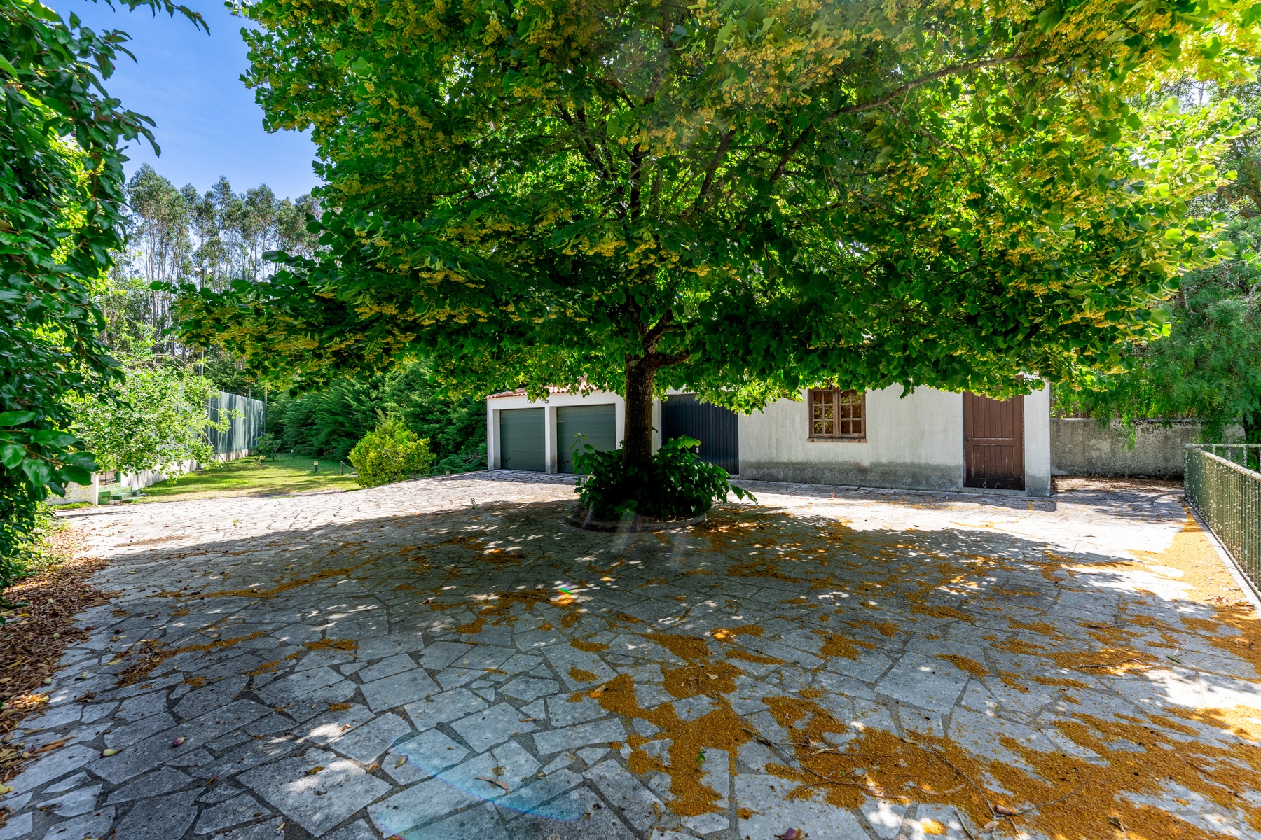  Country Estate, 15 bedrooms, for Sale - 物件實景