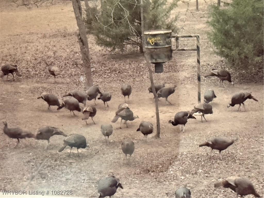 McCurtain, Oklahoma, 74944, United States, 3 Bedrooms Bedrooms, ,2 BathroomsBathrooms,Residential,For Sale,1977810