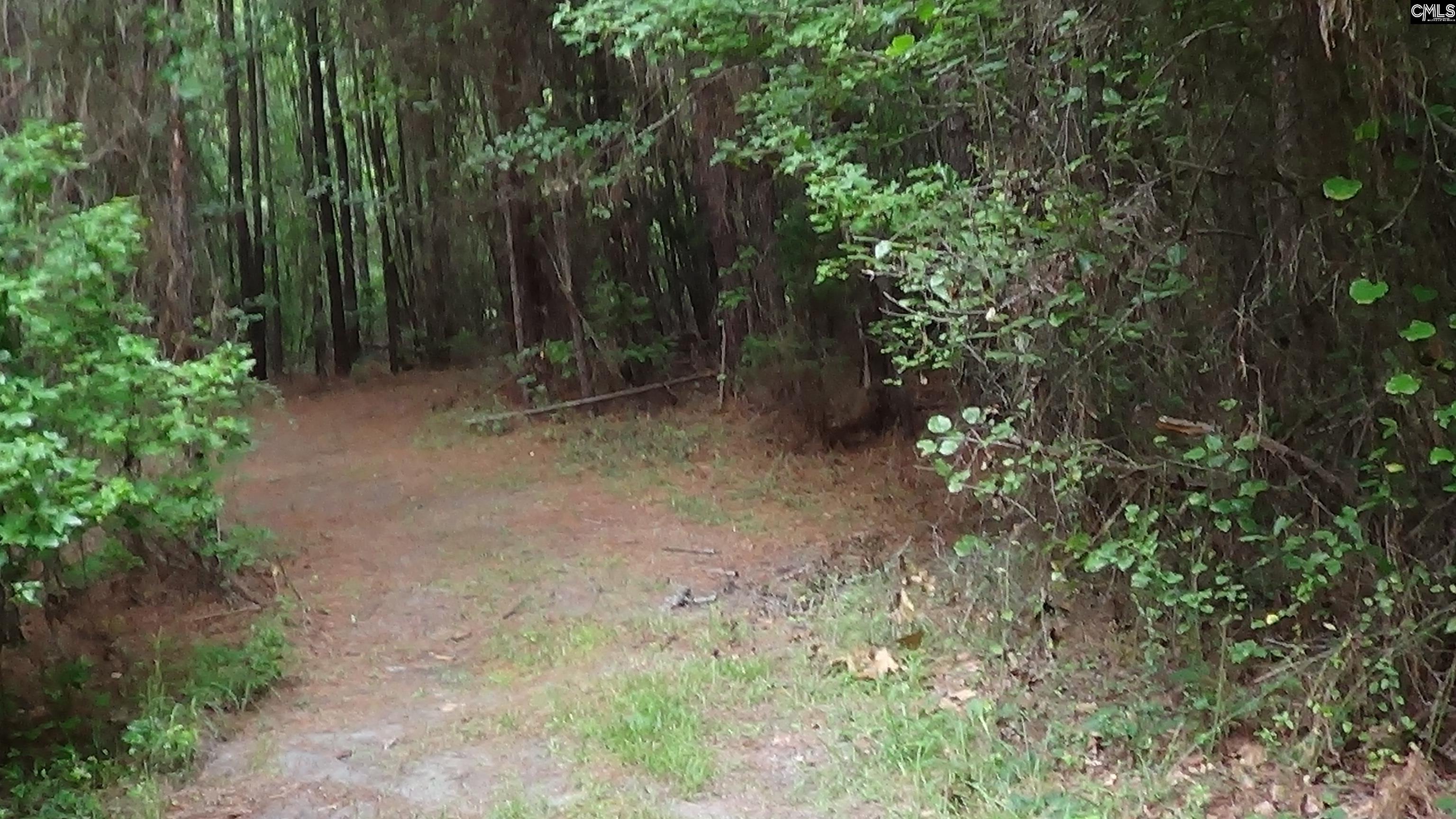 Elgin, South Carolina, 29045, United States, ,Land,For Sale,1891248
