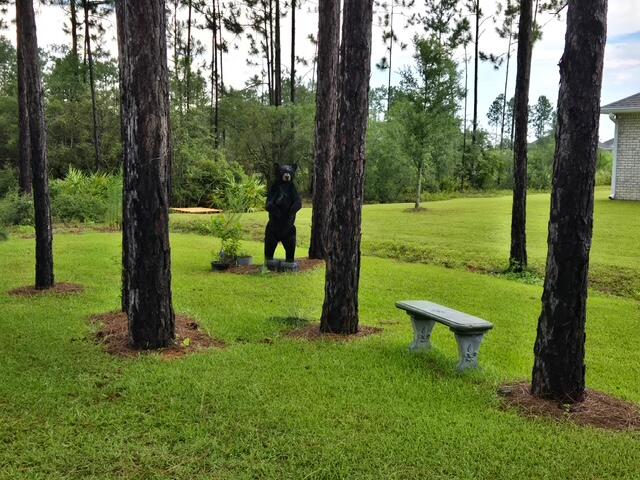 Freeport, Florida, 32439, United States, 4 Bedrooms Bedrooms, ,3 BathroomsBathrooms,Residential,For Sale,1948335