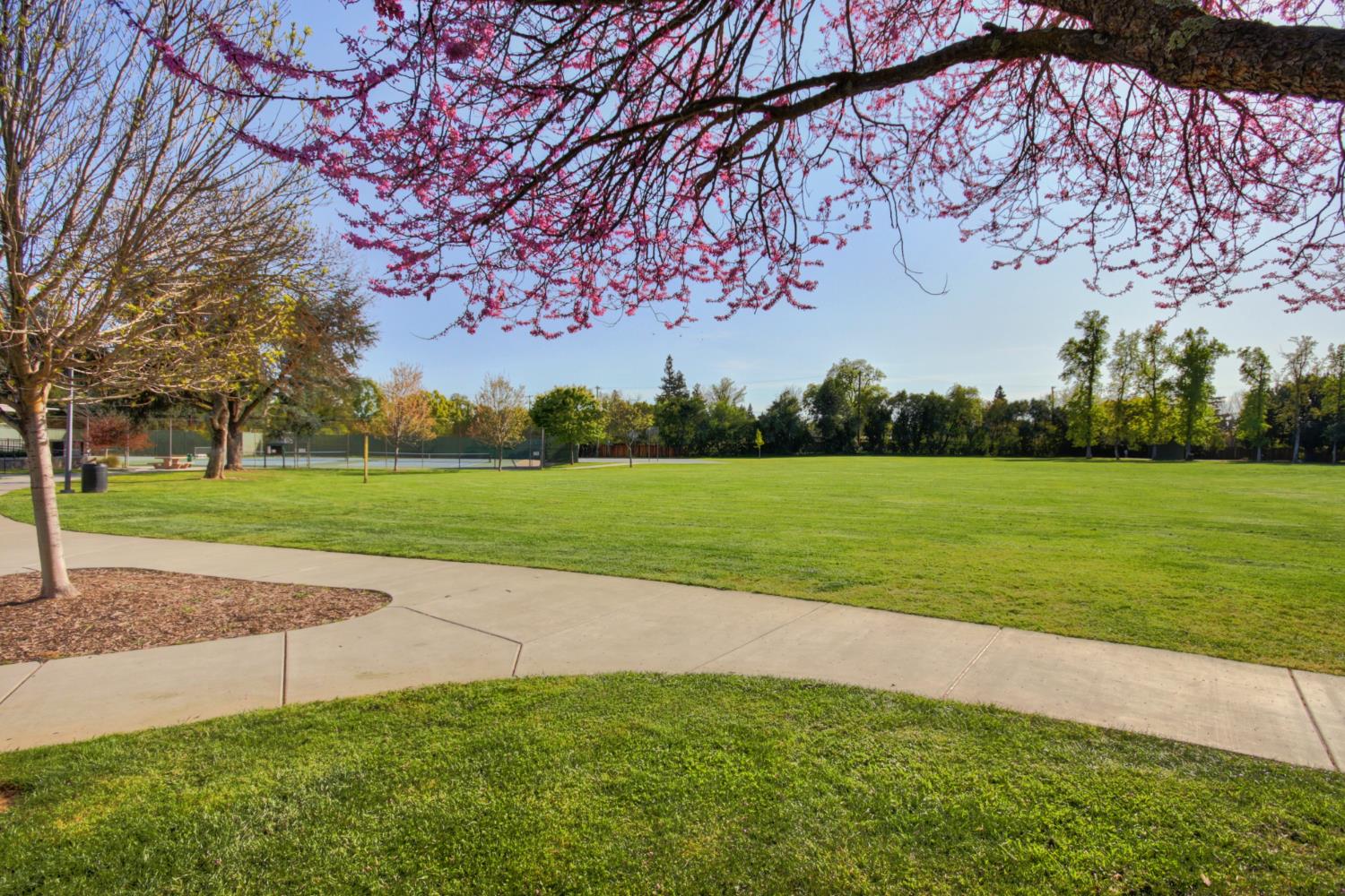Sacramento, California, 95864, United States, 4 Bedrooms Bedrooms, ,3 BathroomsBathrooms,Residential,For Sale,1933498