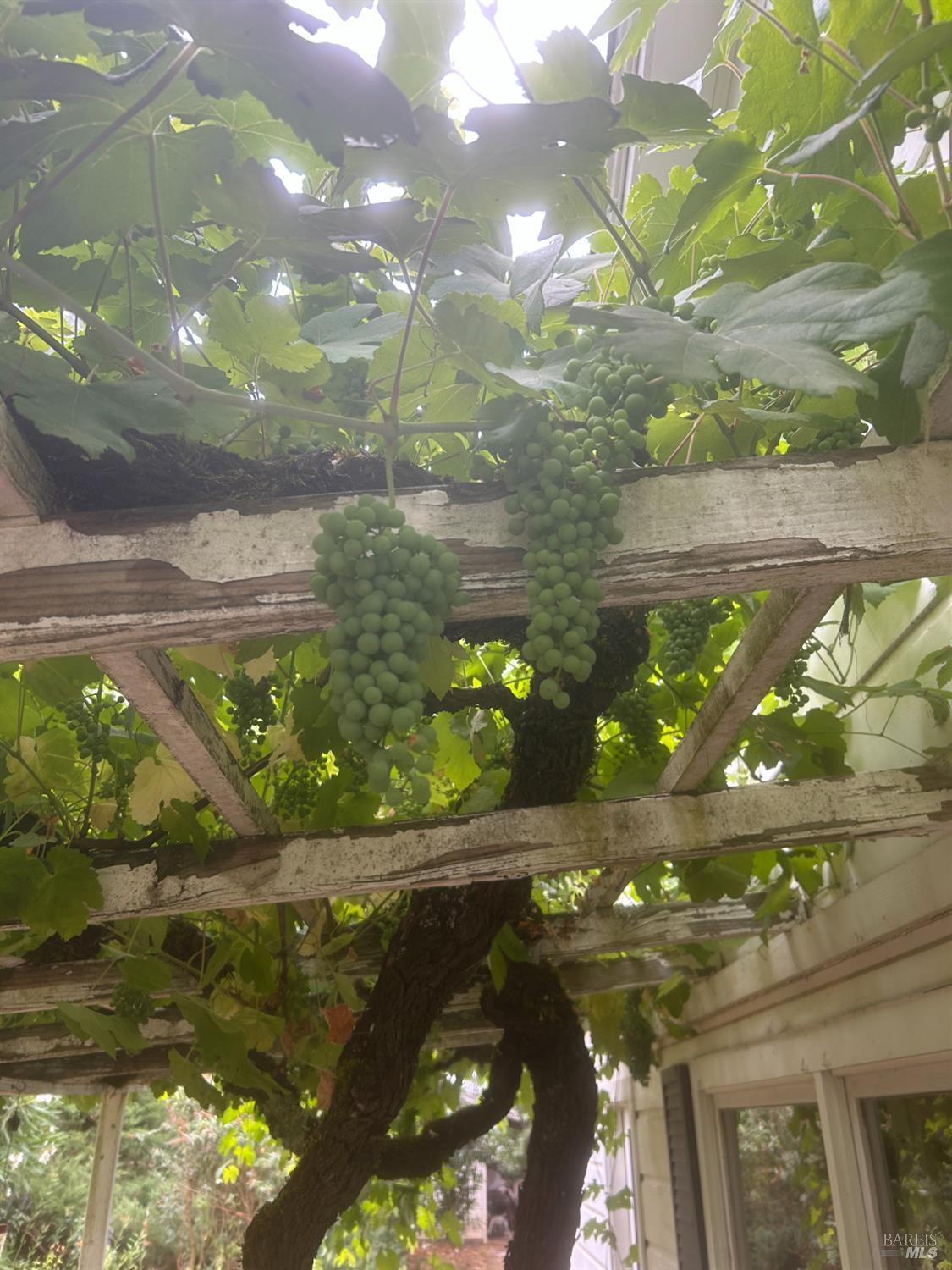 Glen Ellen, California, 95442, United States, 4 Bedrooms Bedrooms, ,3 BathroomsBathrooms,Residential,For Sale,1974615