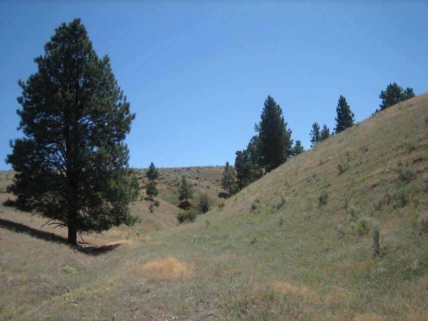 Nhn Granite Creek Road, Florence, Montana, 59833, United States, ,Residential,For Sale,Nhn Granite Creek Road,1205566