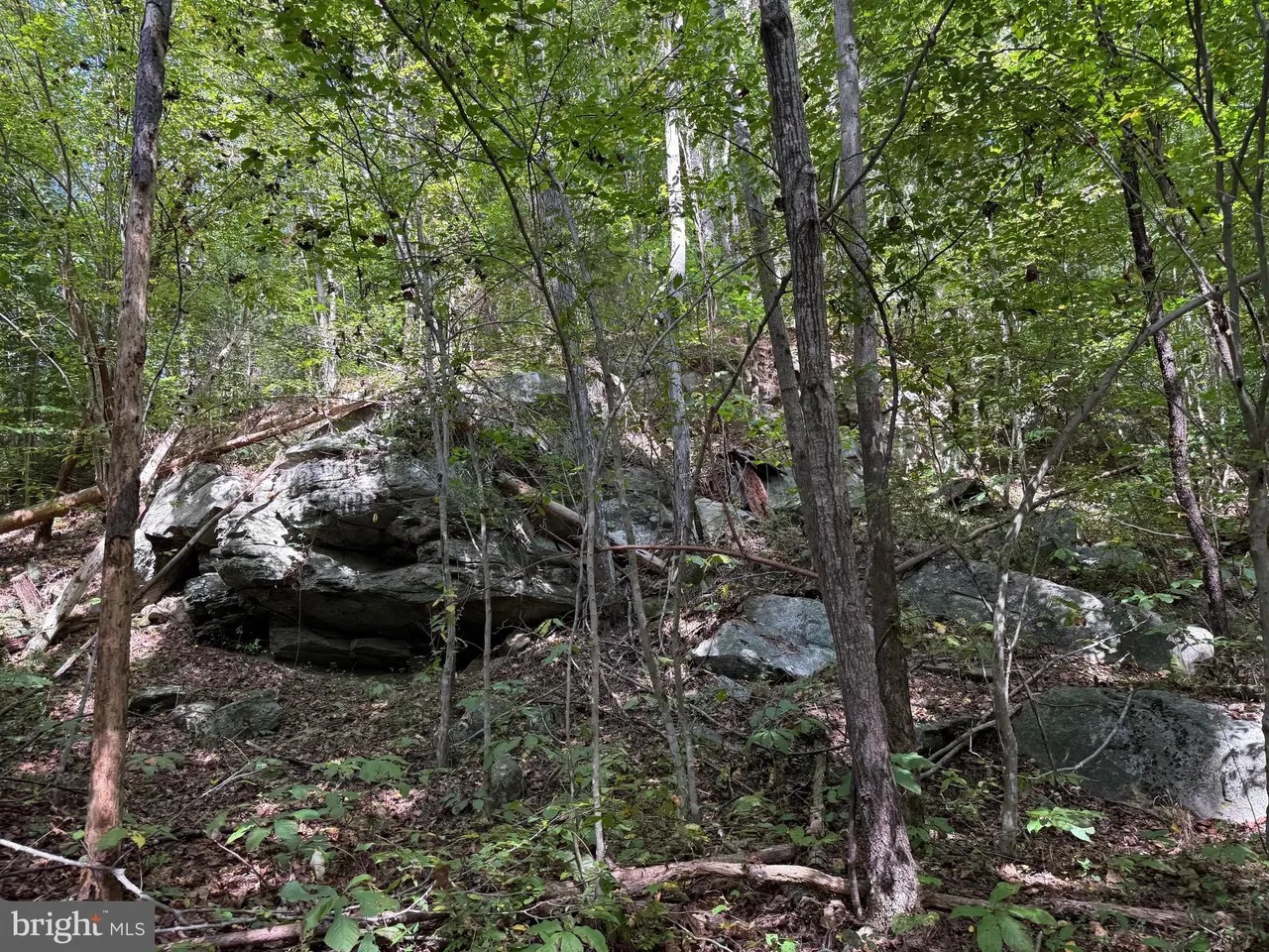 Appomattox, Virginia, 24522, United States, ,Land,For Sale,1982903