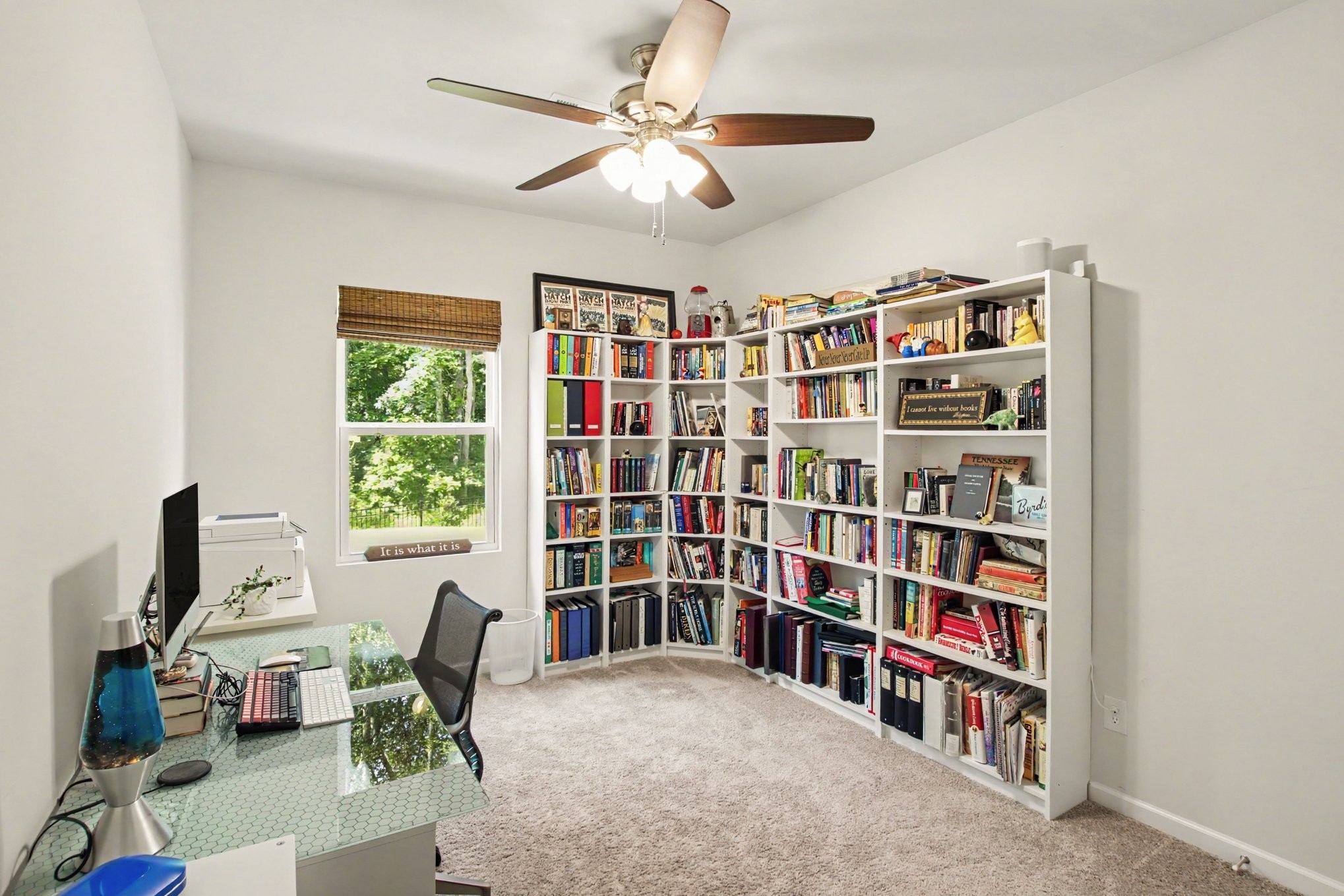  229 Brook Ave, White House, TN, 37188 - 物件實景