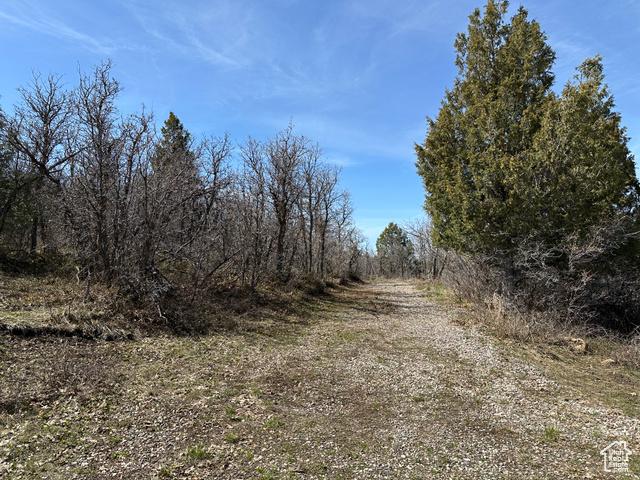 Mt Pleasant, Utah, 84647, United States, 4 Bedrooms Bedrooms, ,3 BathroomsBathrooms,Residential,For Sale,1921655