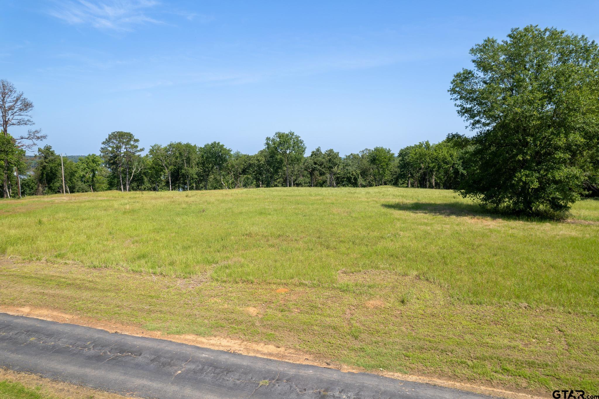 Leesburg, Texas, 75451, United States, ,Land,For Sale,1975704