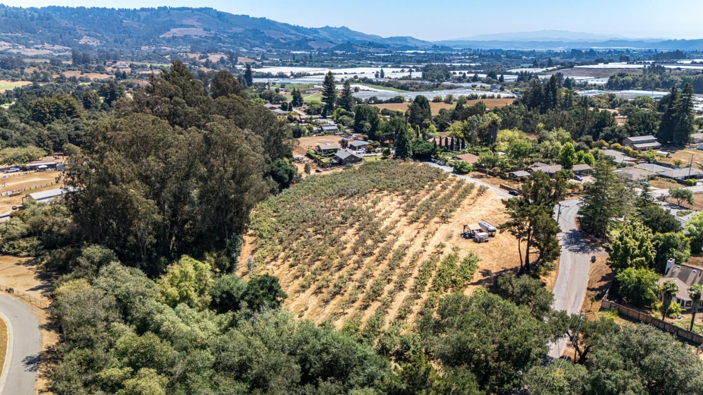 Watsonville, California, 95076, United States, ,Land,For Sale,1942111