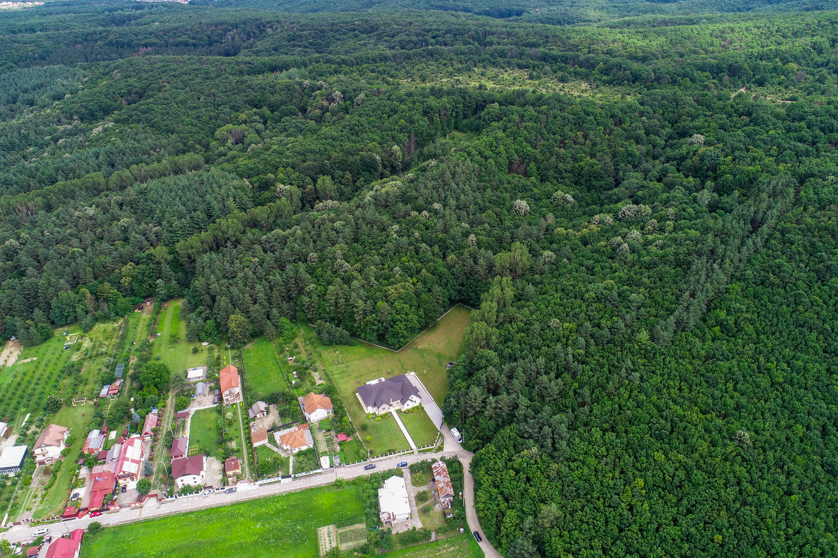  Villa with a 19-Hectare Private Estate on the Edge of the Forest - 物件實景