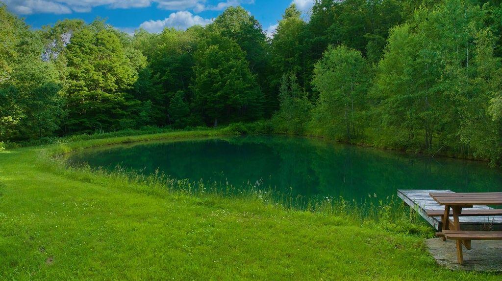 Sidney Center, New York, 13839, United States, 5 Bedrooms Bedrooms, ,3 BathroomsBathrooms,Residential,For Sale,1868911