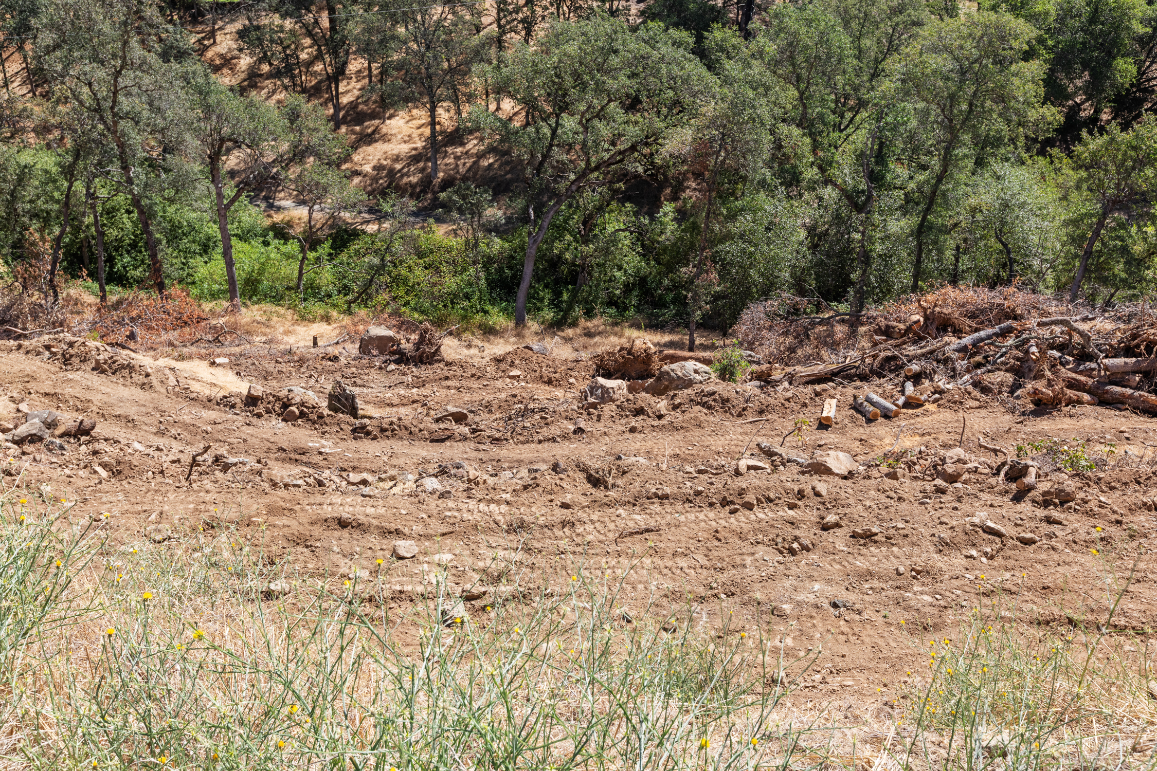  4217 Hensley Circle, El Dorado Hills, CA 95762 - 物件實景