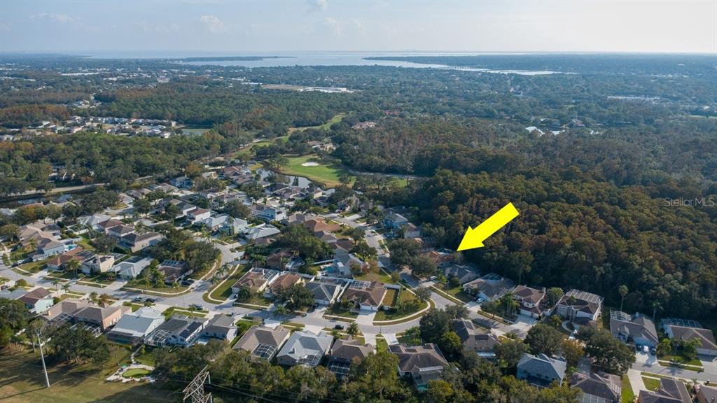 Oldsmar, Florida, 34677, United States, 4 Bedrooms Bedrooms, ,3 BathroomsBathrooms,Residential,For Sale,1998851