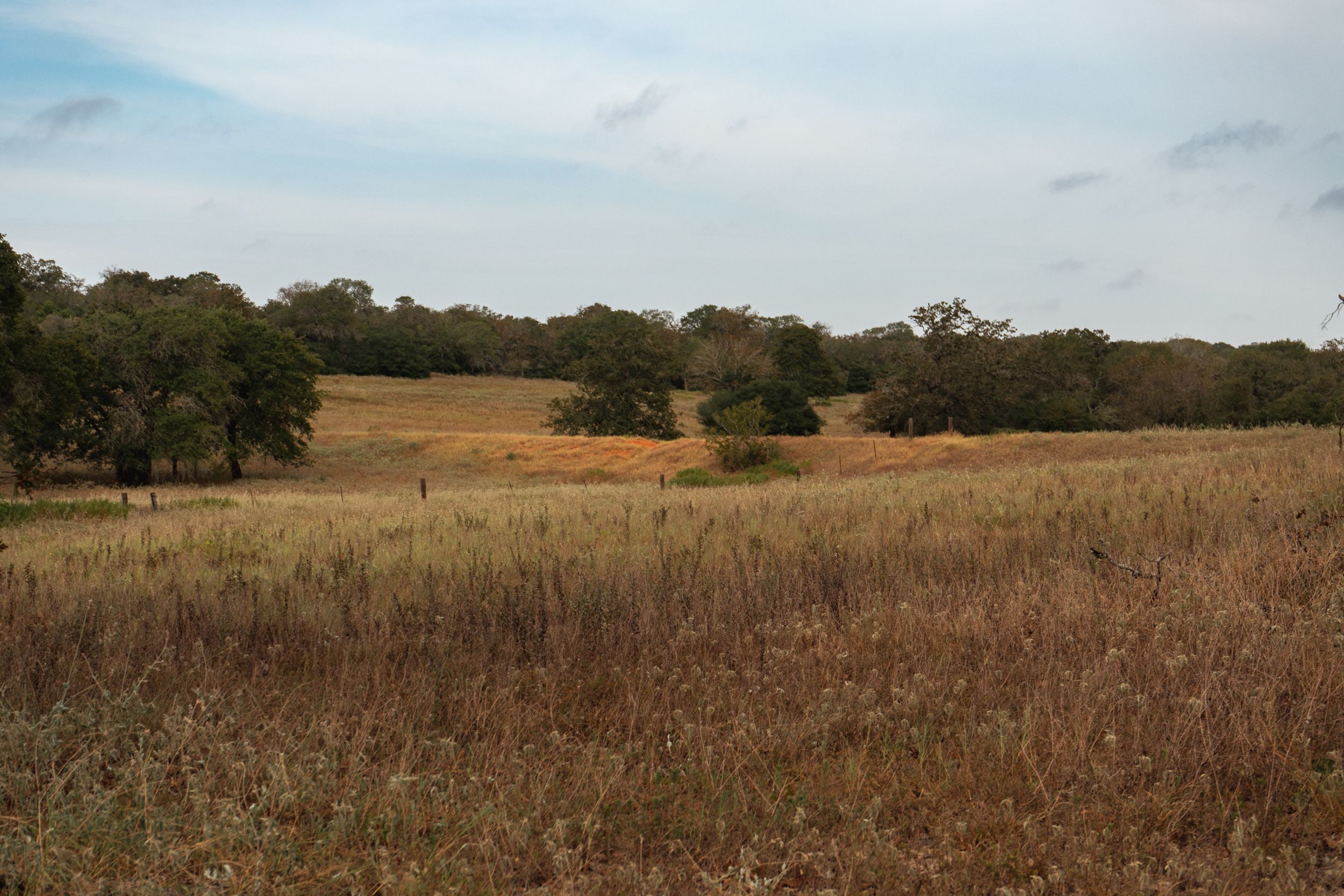  860+/- Acre PQR Ranch in Gonzales County - 物件實景