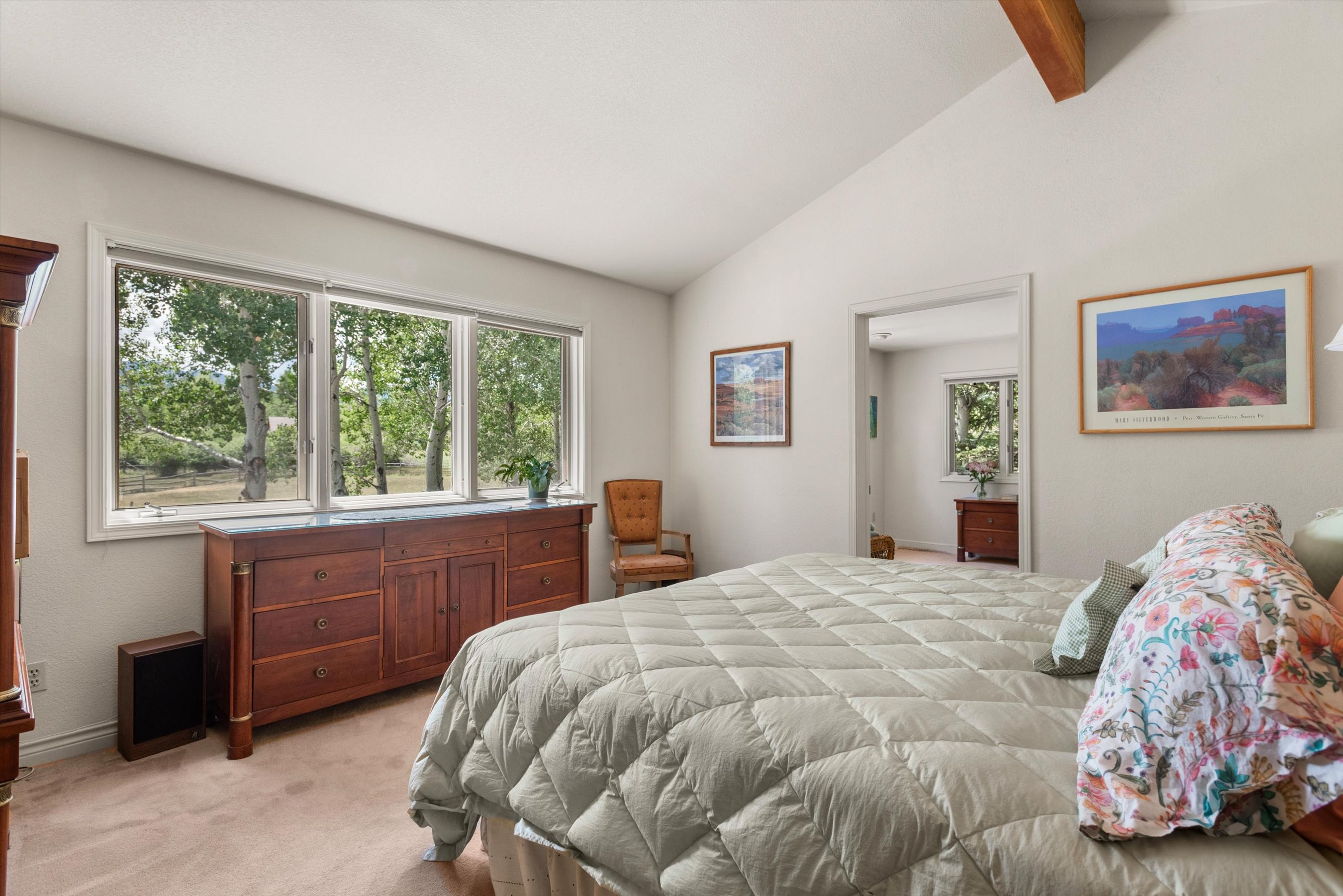  47 Davidson Lane, Snowmass, CO, 81654 - 物件實景
