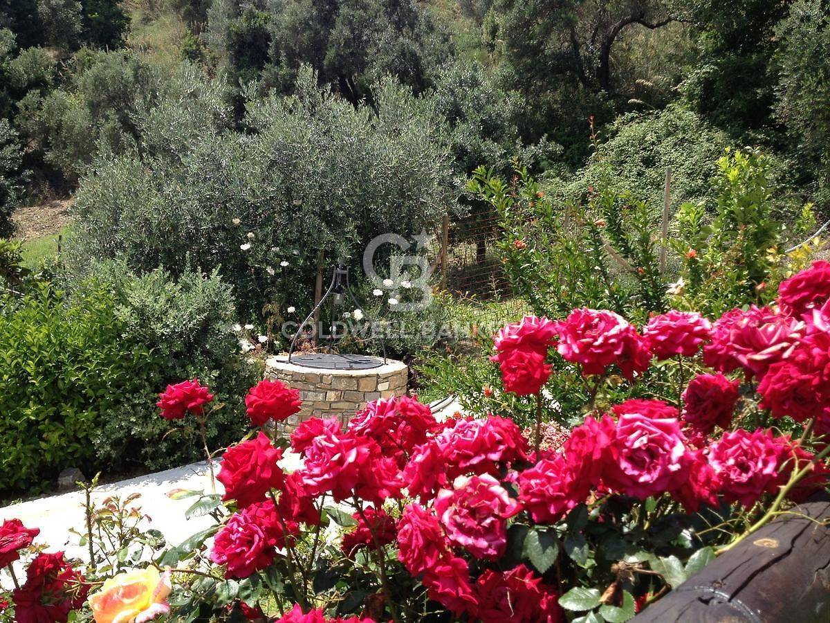 Contrada San Leonardo, Pollica, Salerno, 84068, IT, 6 Bedrooms Bedrooms, ,8 BathroomsBathrooms,Residential,For Sale,Contrada San Leonardo,1673347