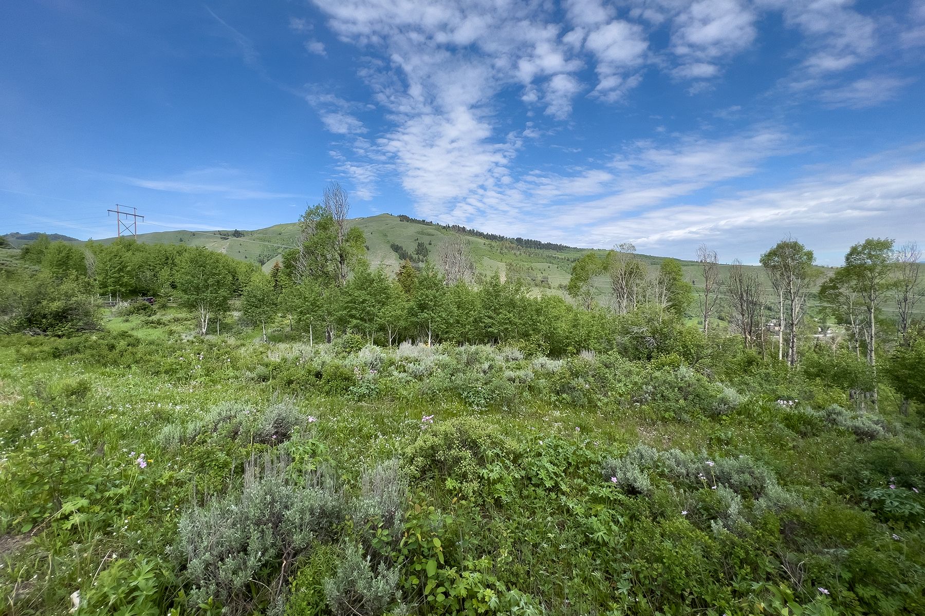  Rodeo Road - 物件實景