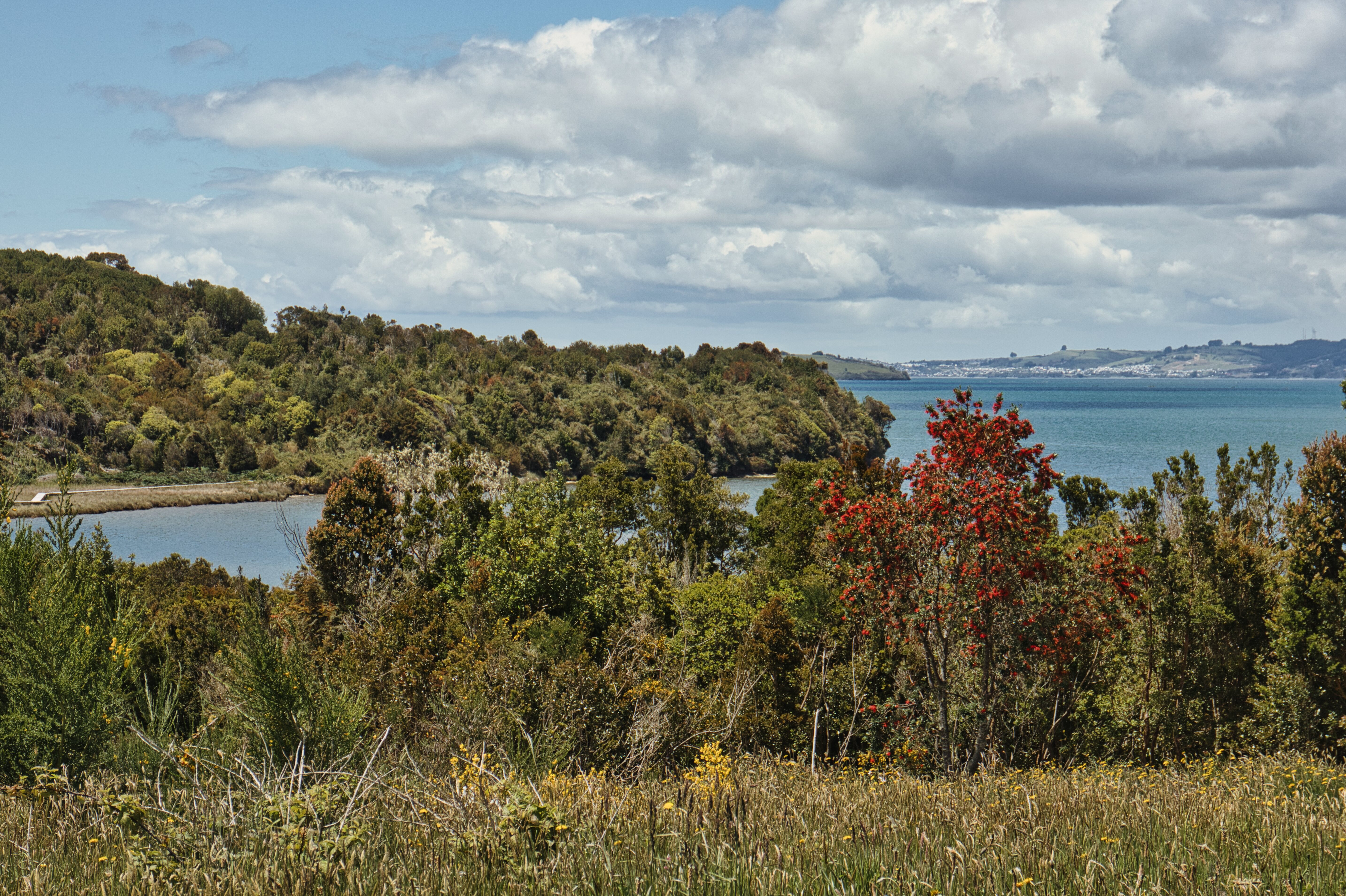  12.2-Hectare Oceanfront Property in Chiloé - 物件實景