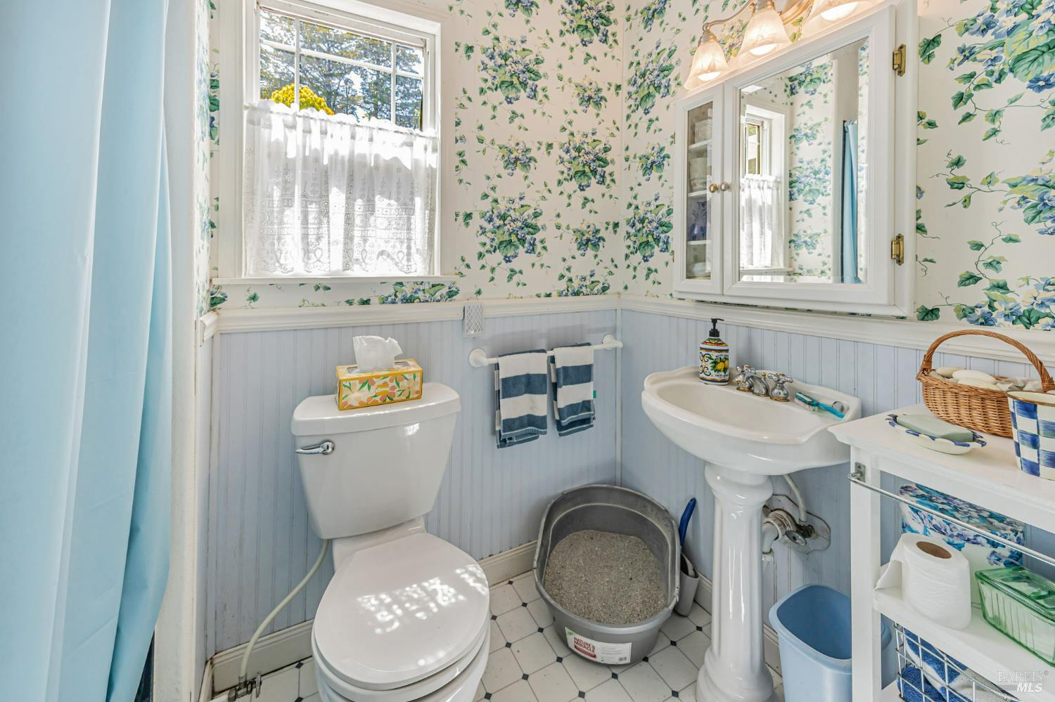 Sebastopol, California, 95472, United States, 3 Bedrooms Bedrooms, ,3 BathroomsBathrooms,Residential,For Sale,1903540