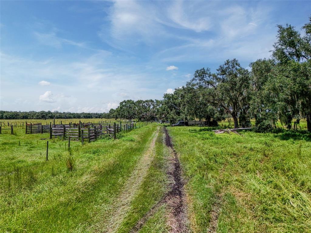Myakka City, Florida, 34251, United States, ,Land,For Sale,1908306