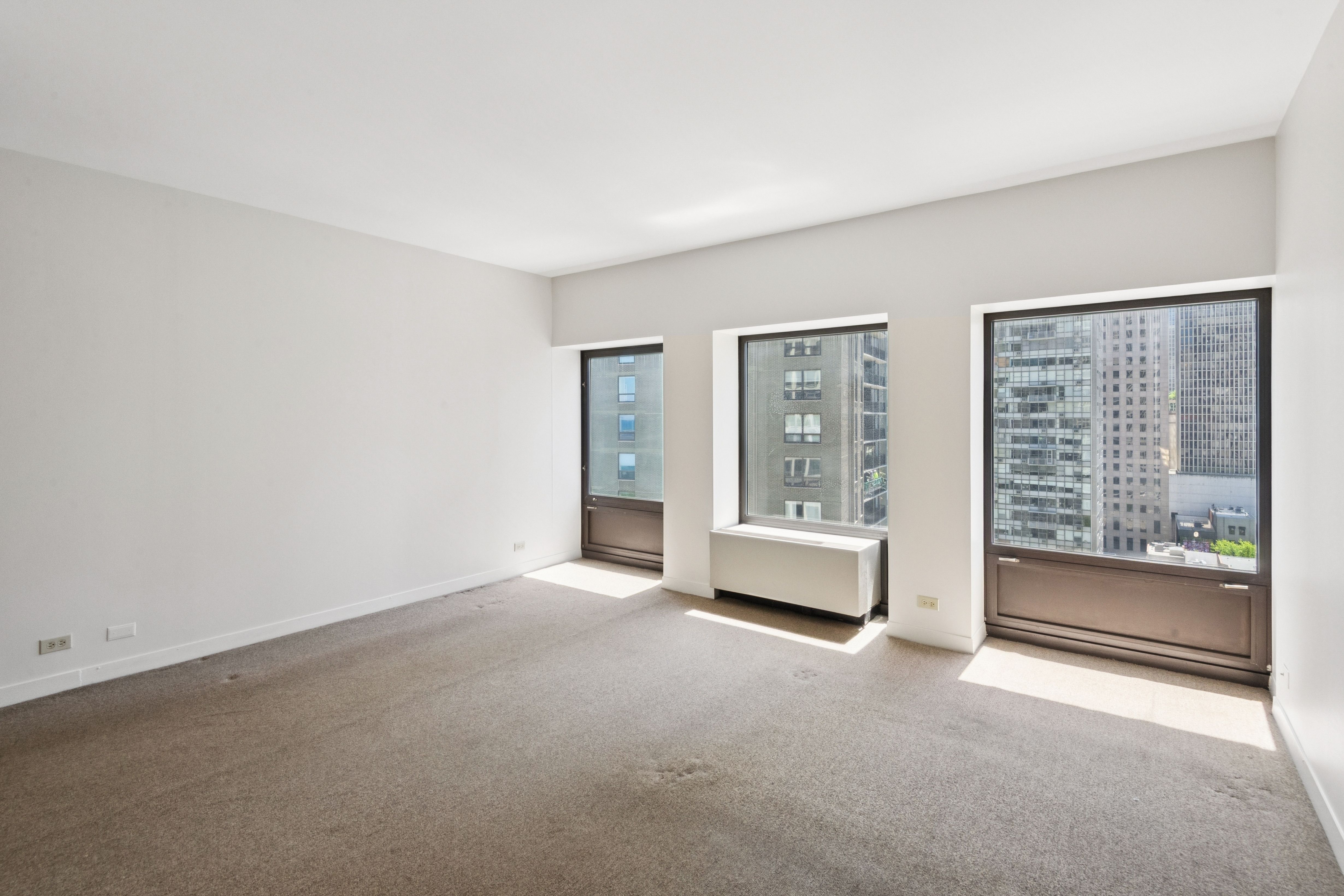  1100 N Lake Shore Drive, Chicago, IL, 60611 - 物件實景