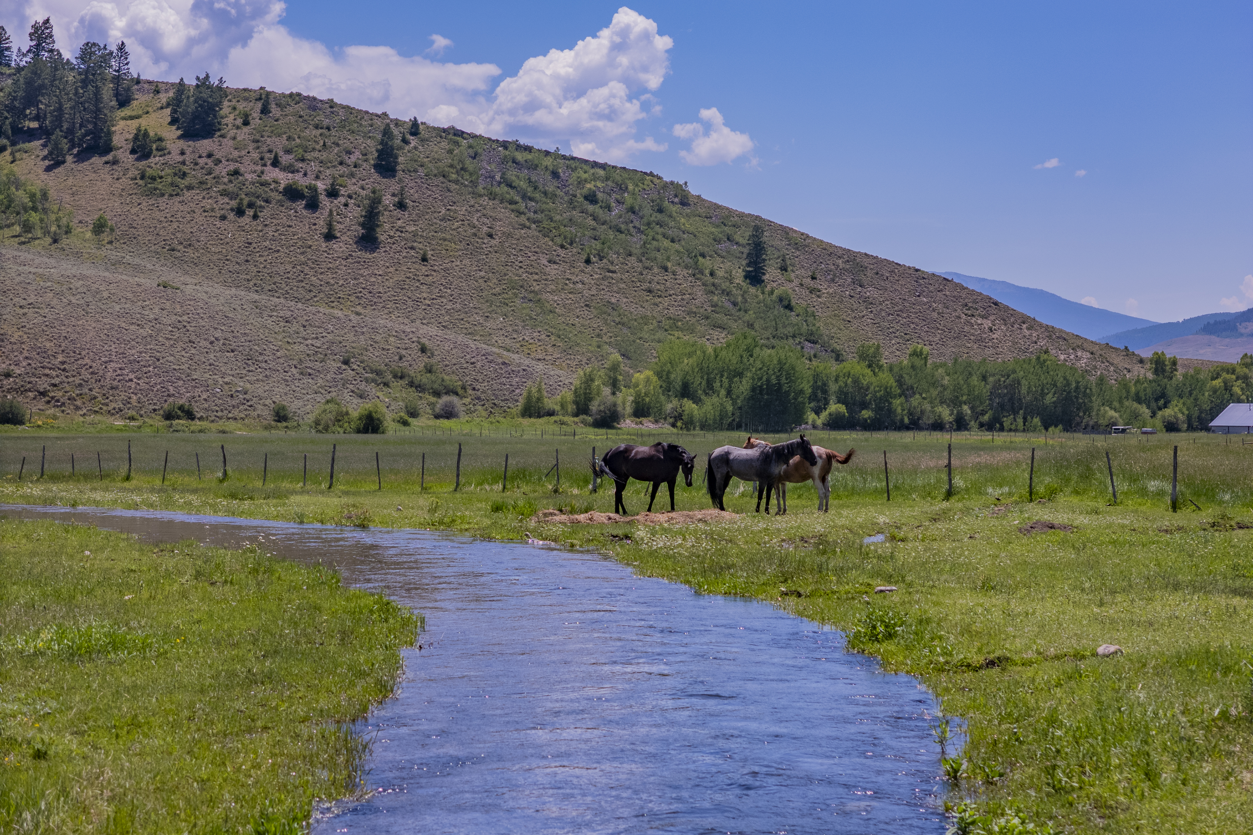  Your Colorado Dream 35 Scenic Acres with Mountain Views - 物件實景