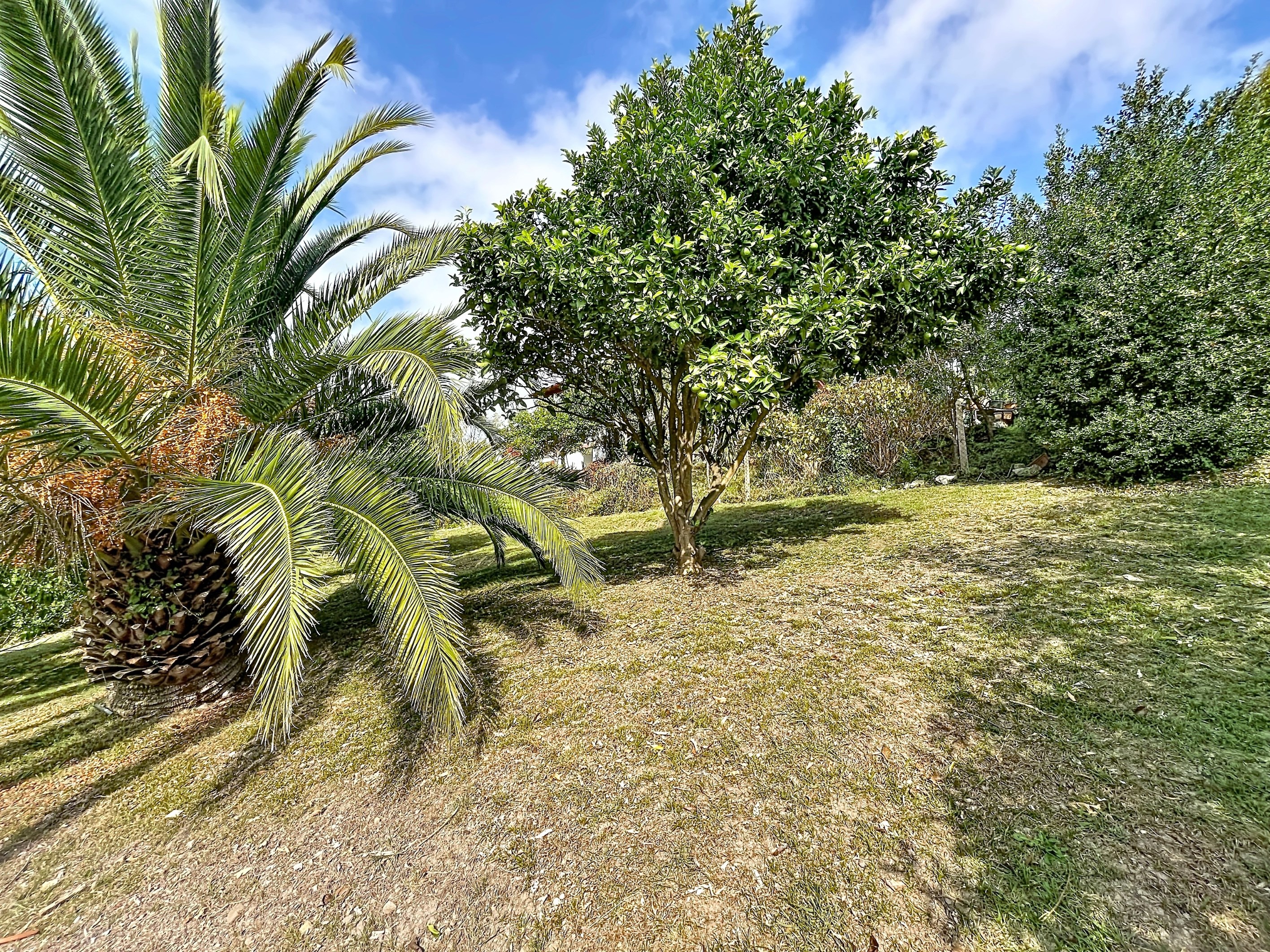 Socoa Beach 170-square-meter house - 物件實景