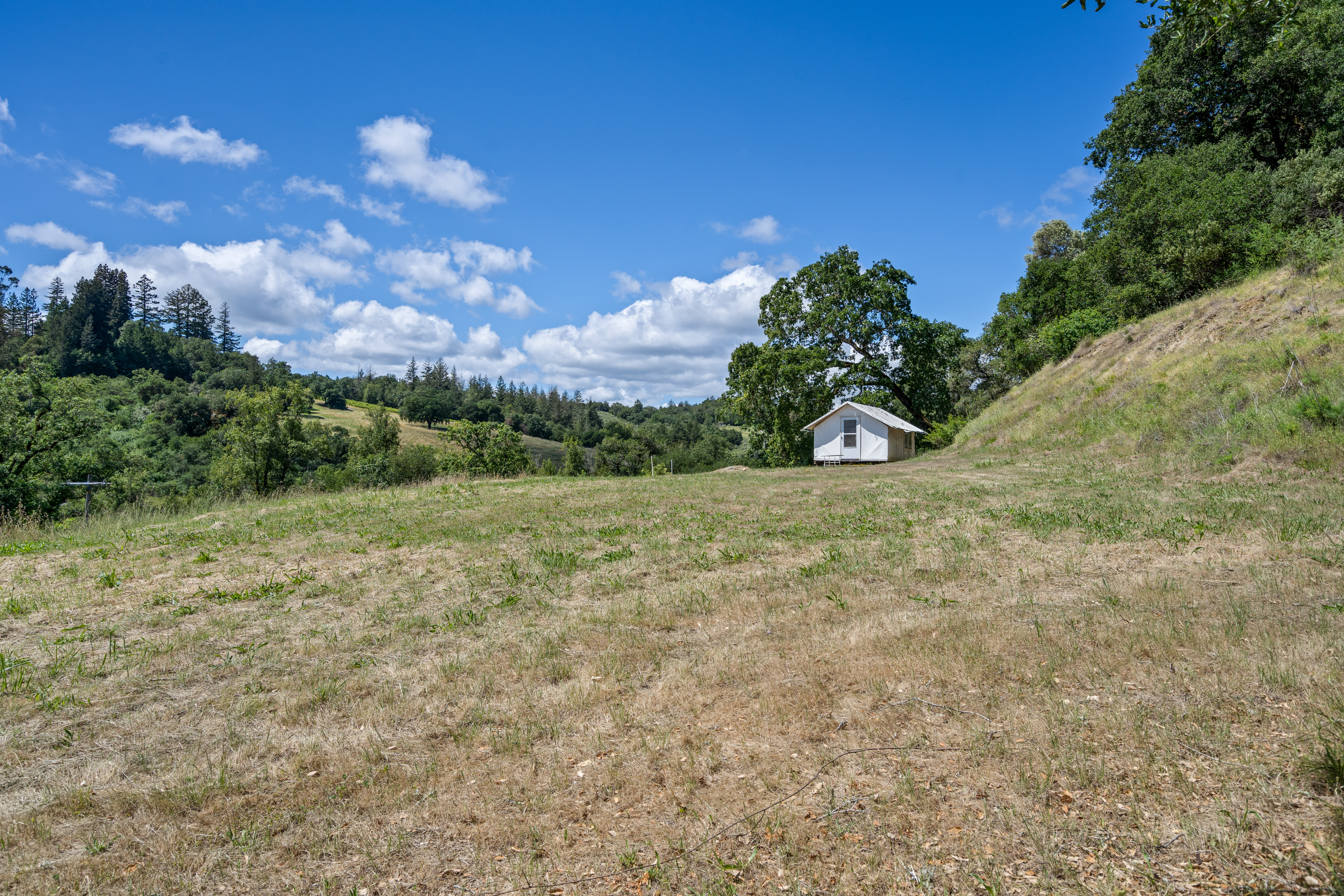  1077 Westside Road, Healdsburg, CA 95448 - 物件實景