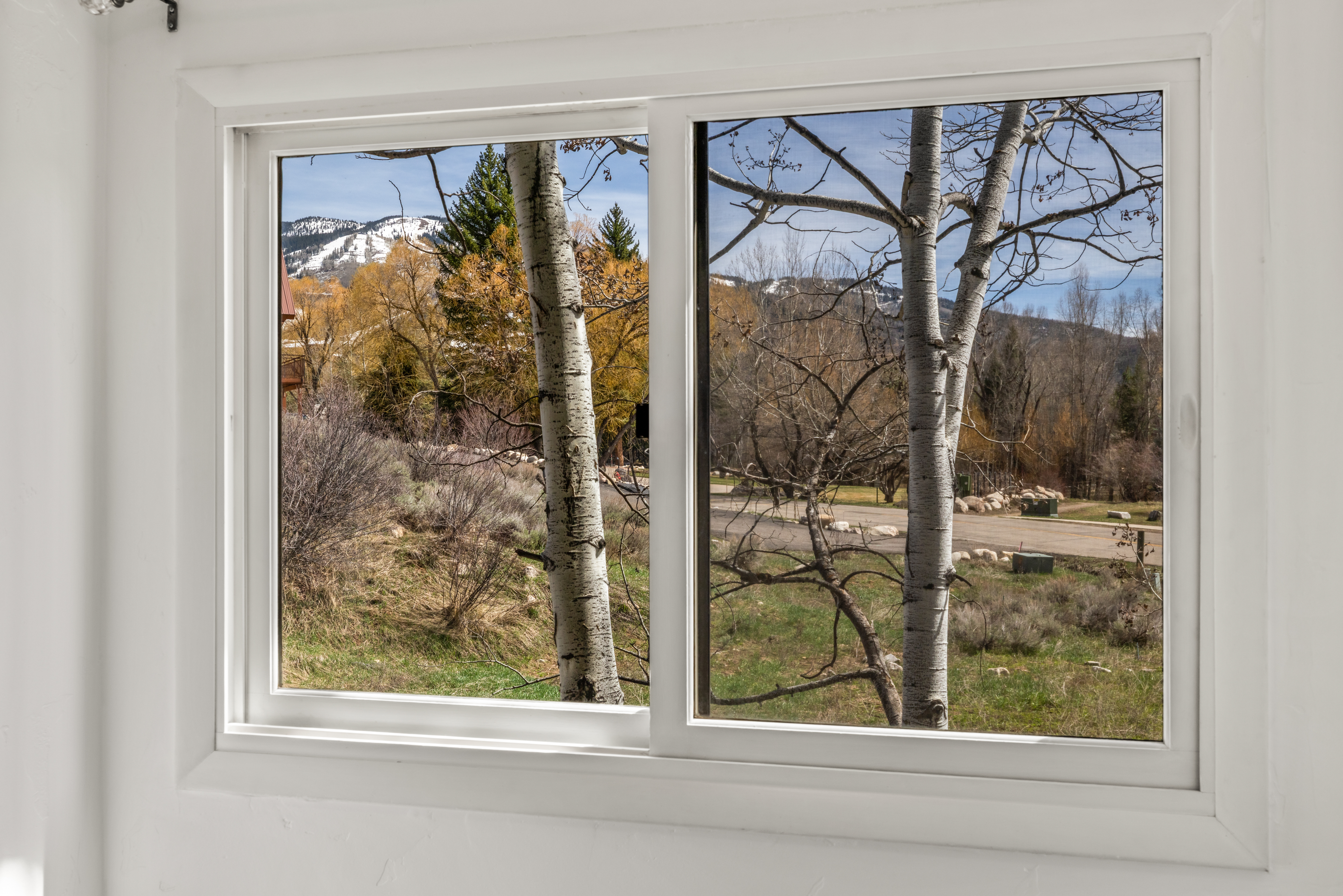  Rare Top-Floor Condo at Chaparral Terraces - 物件實景