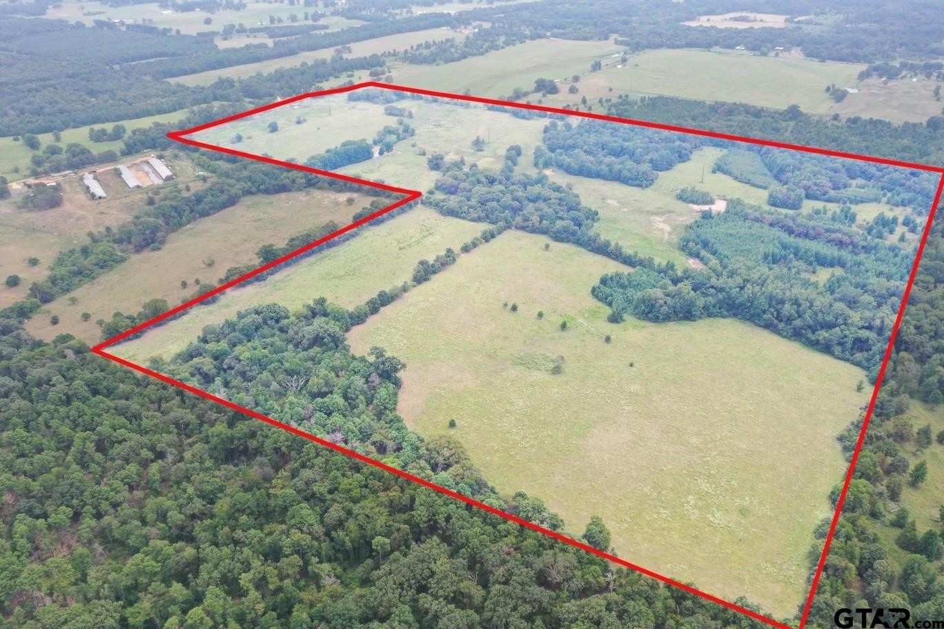 Pittsburg, Texas, 75686, United States, ,Land,For Sale,1976624