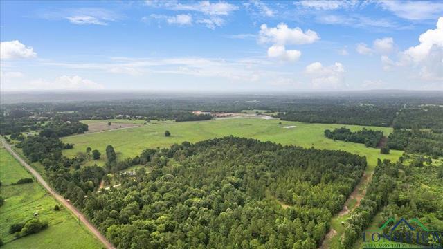 Henderson, Texas, 75654, United States, ,Land,For Sale,1885334