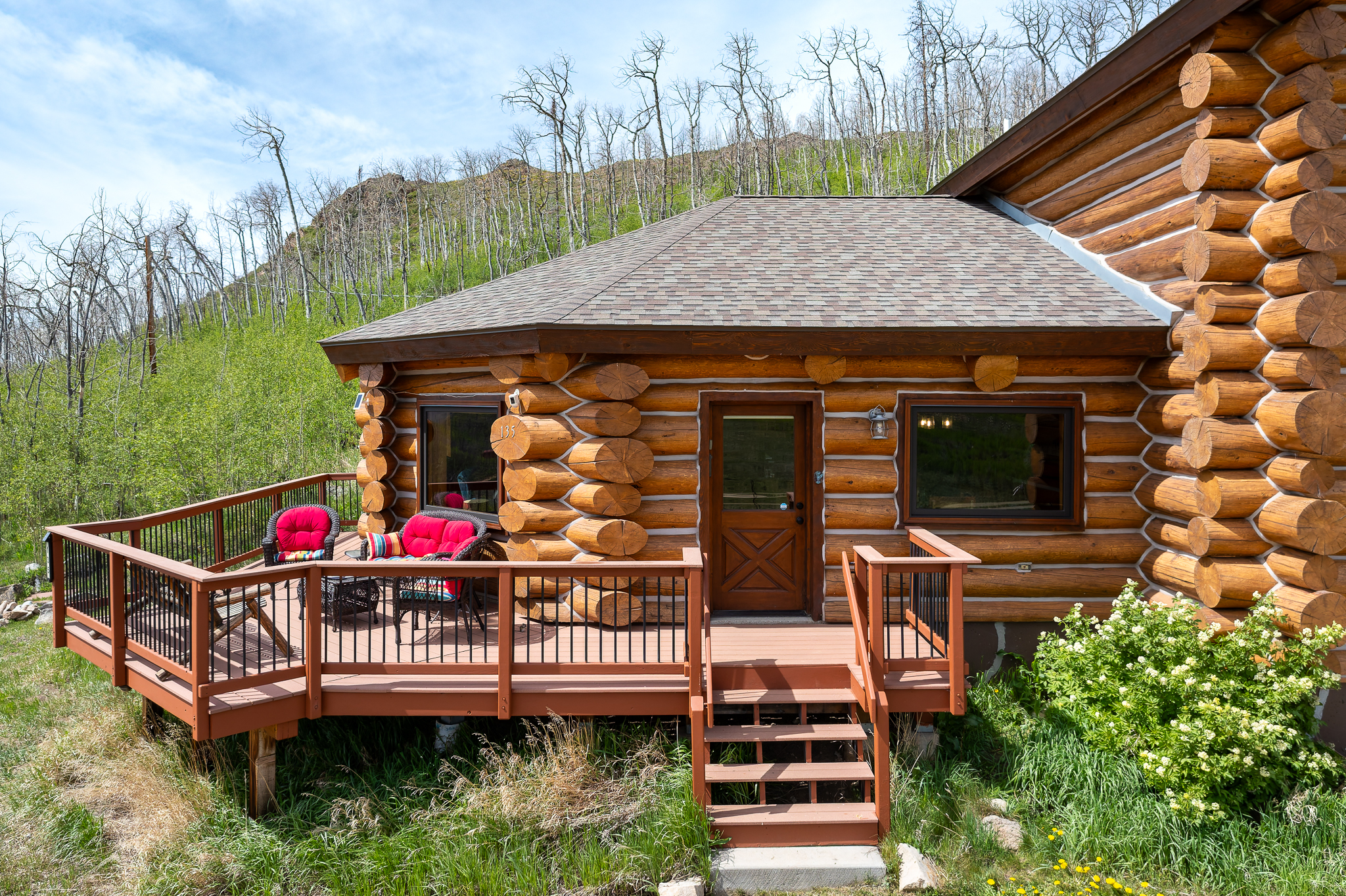  135 Gcr 4110, Granby, CO, 80446 - 物件實景