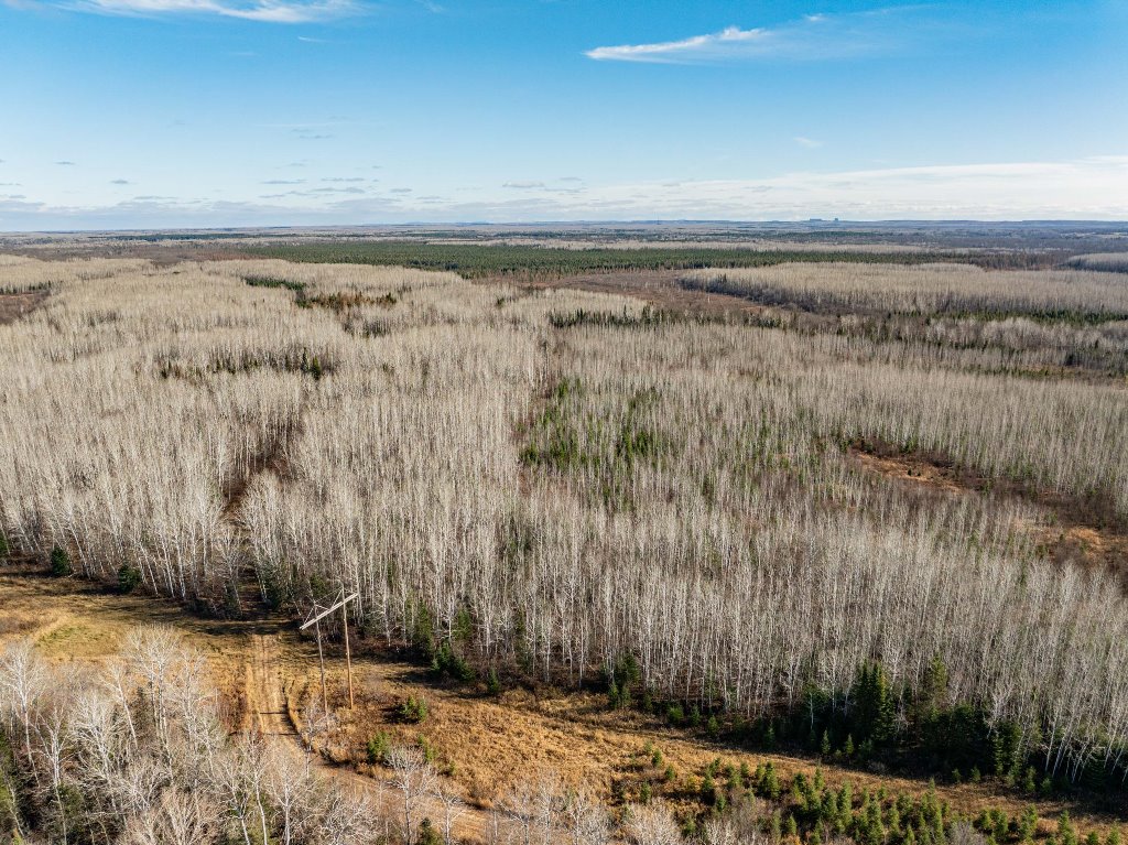 Grand Rapids, Minnesota, 55744, United States, ,Land,For Sale,1983791