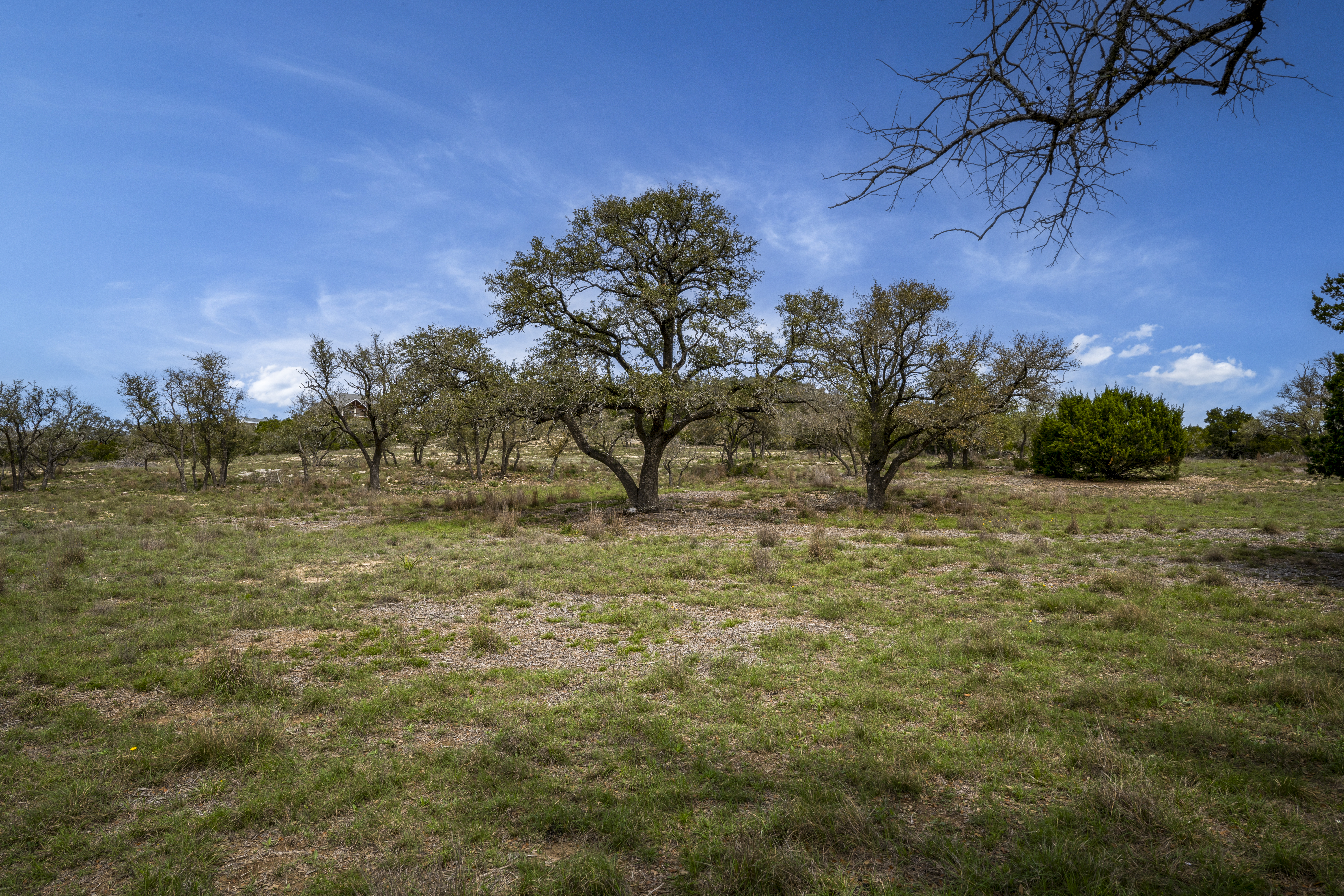  Lot 66 Majestic Hills Drive, Blanco, TX 78606 - 物件實景