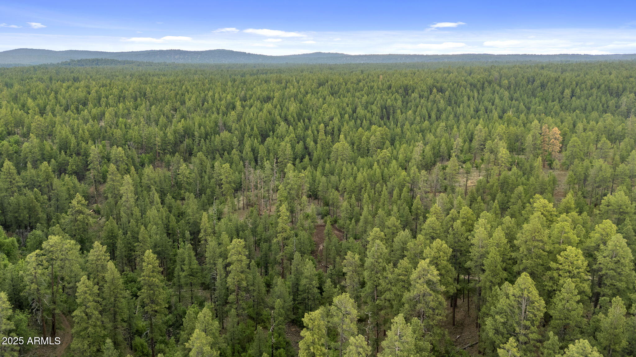 Munds Park, Arizona, 86017, United States, ,Land,For Sale,1865500